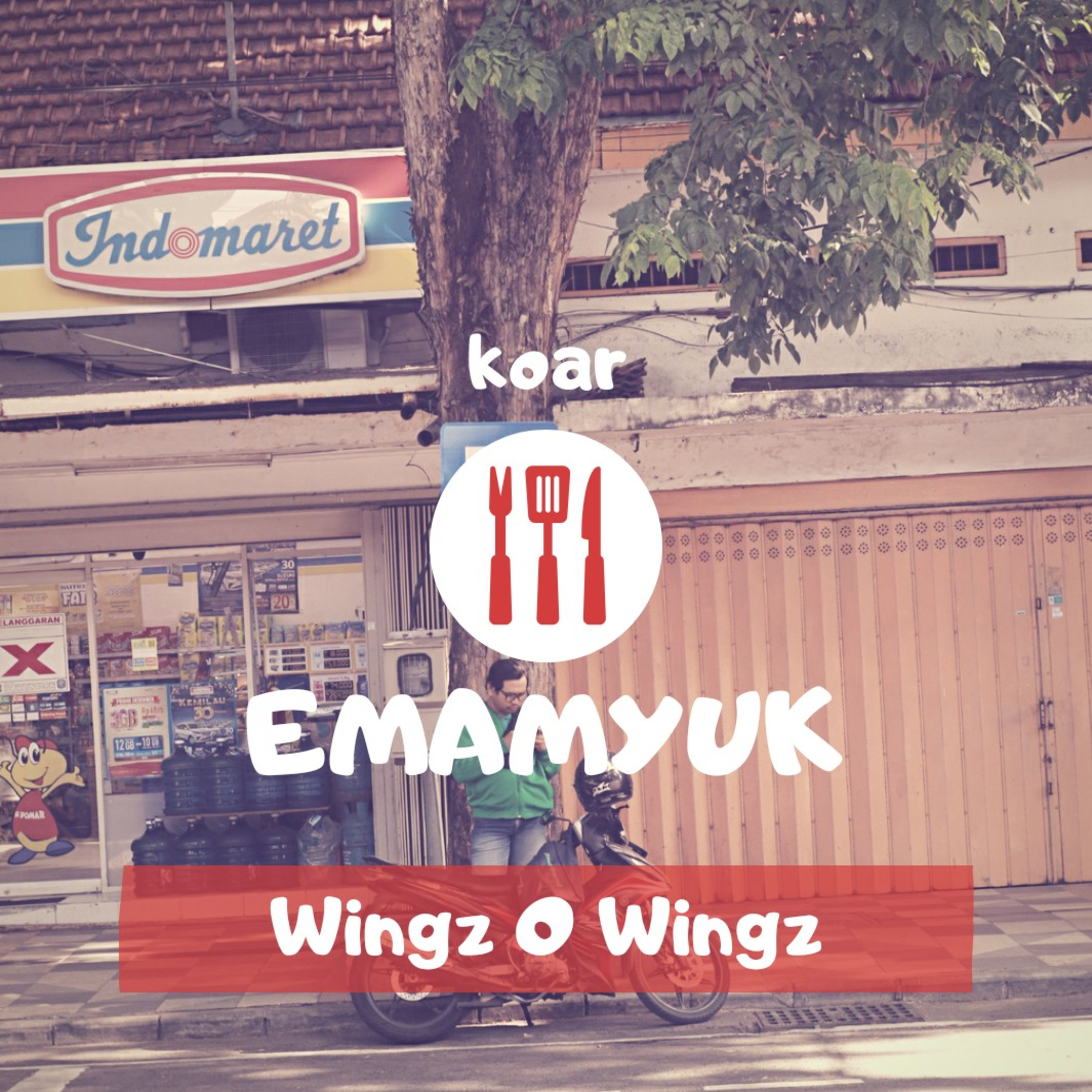 Koar