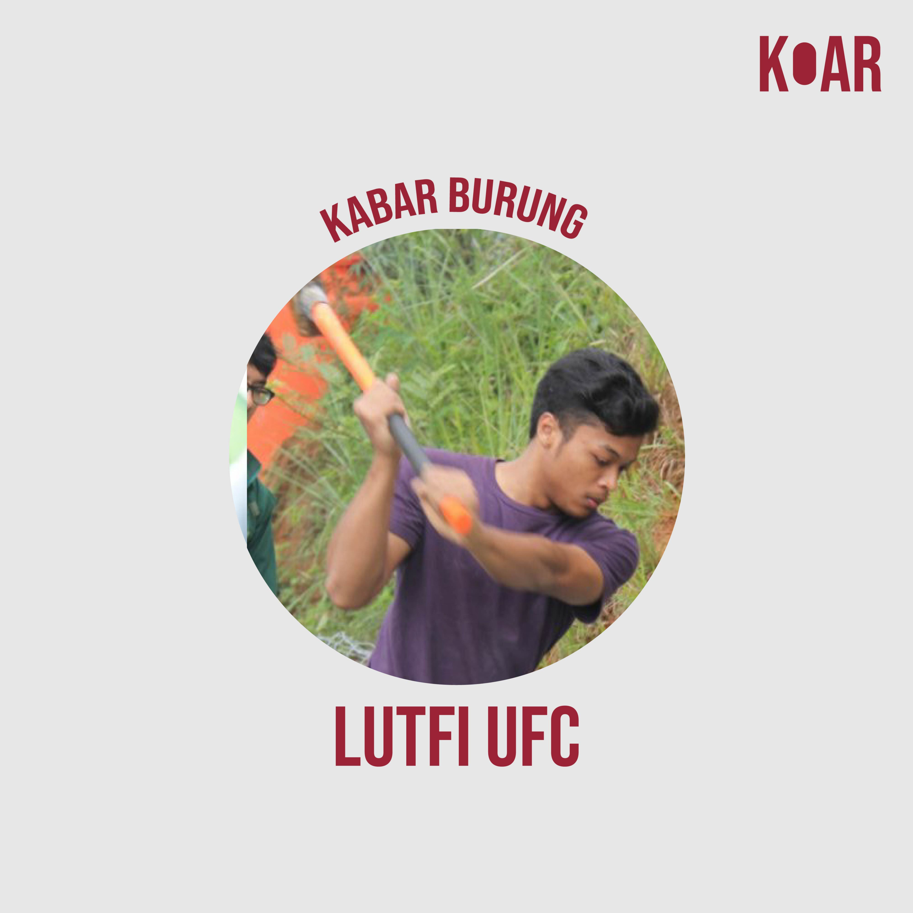 Koar