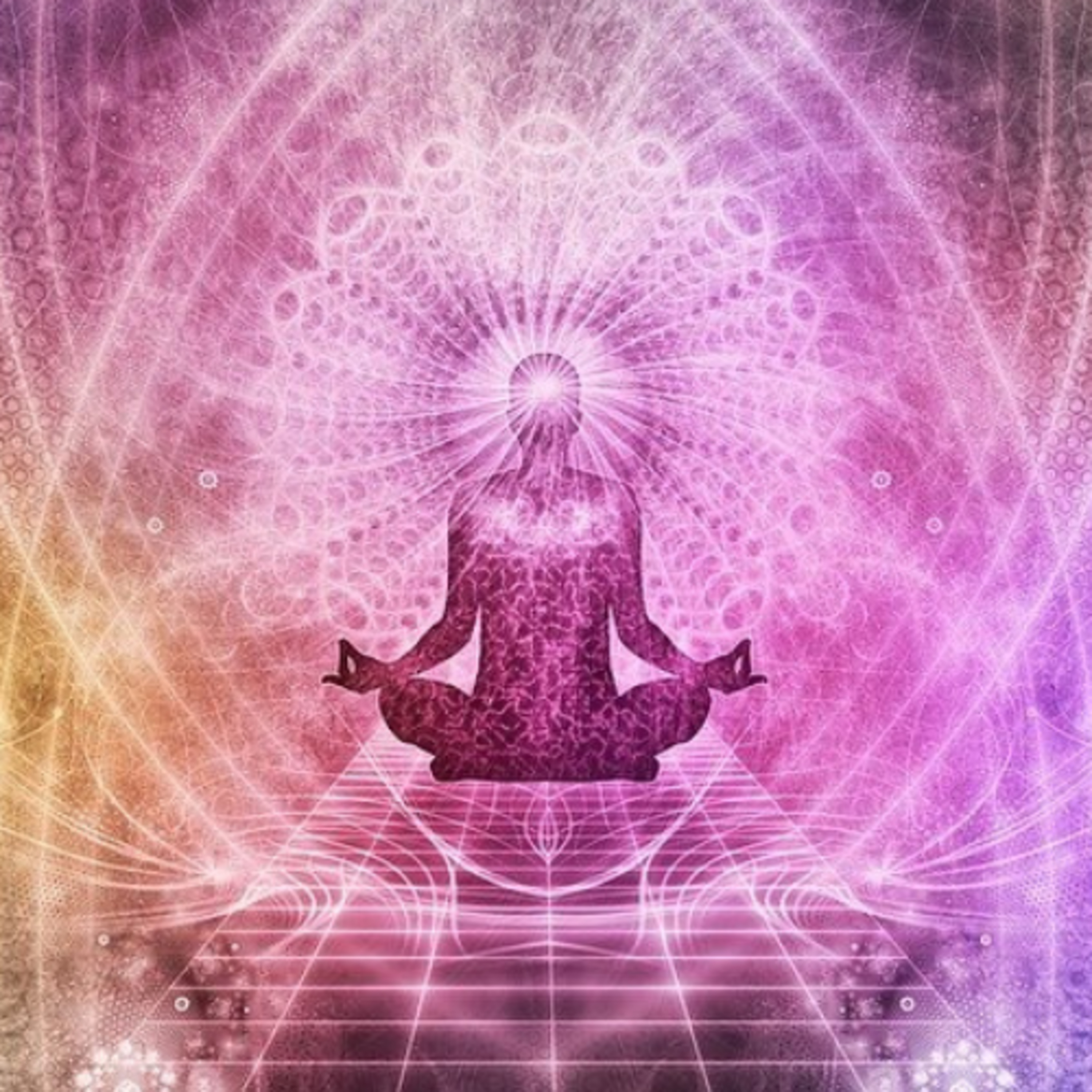 Pergunte ao Coração Meditações e reflexões