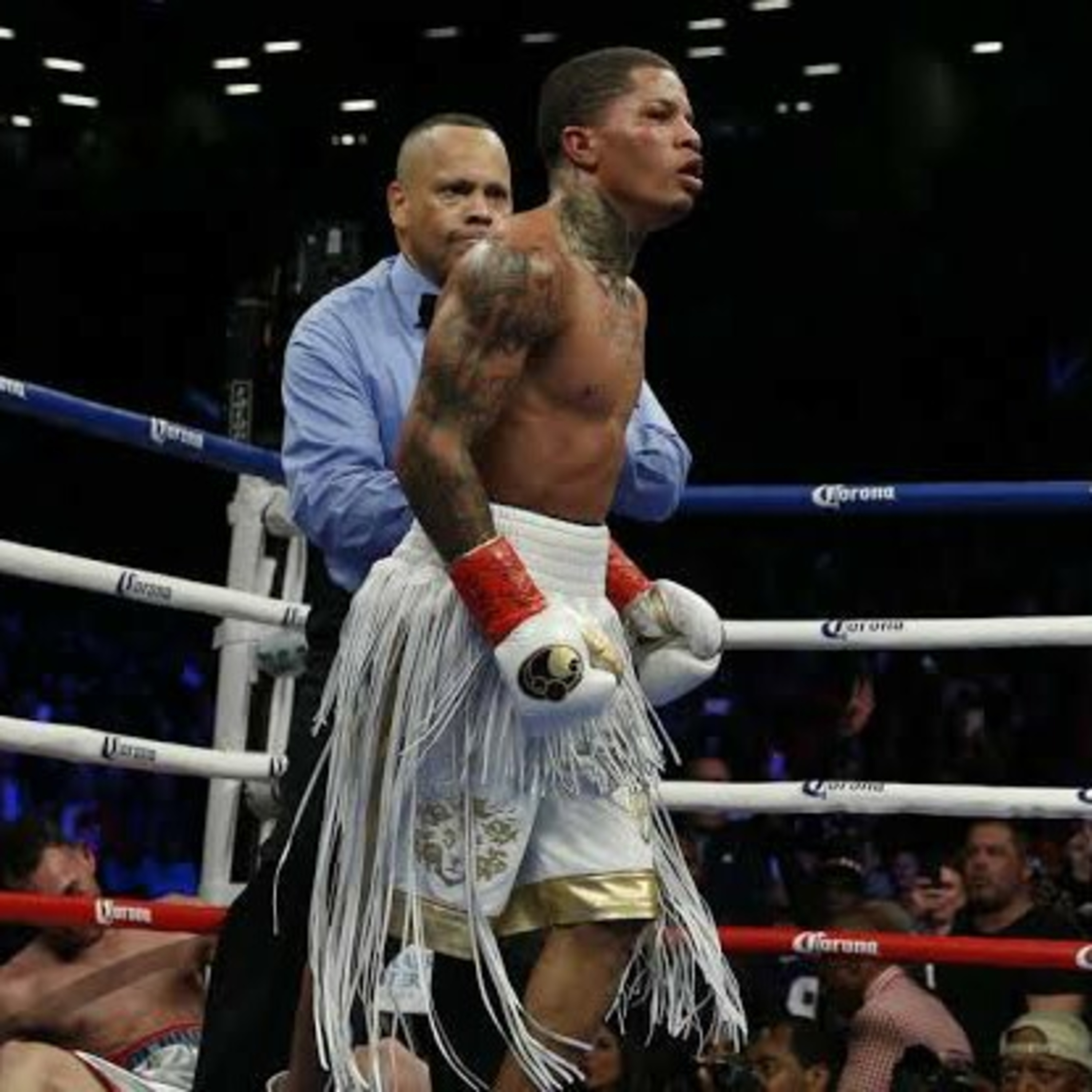Boxingtotalmx