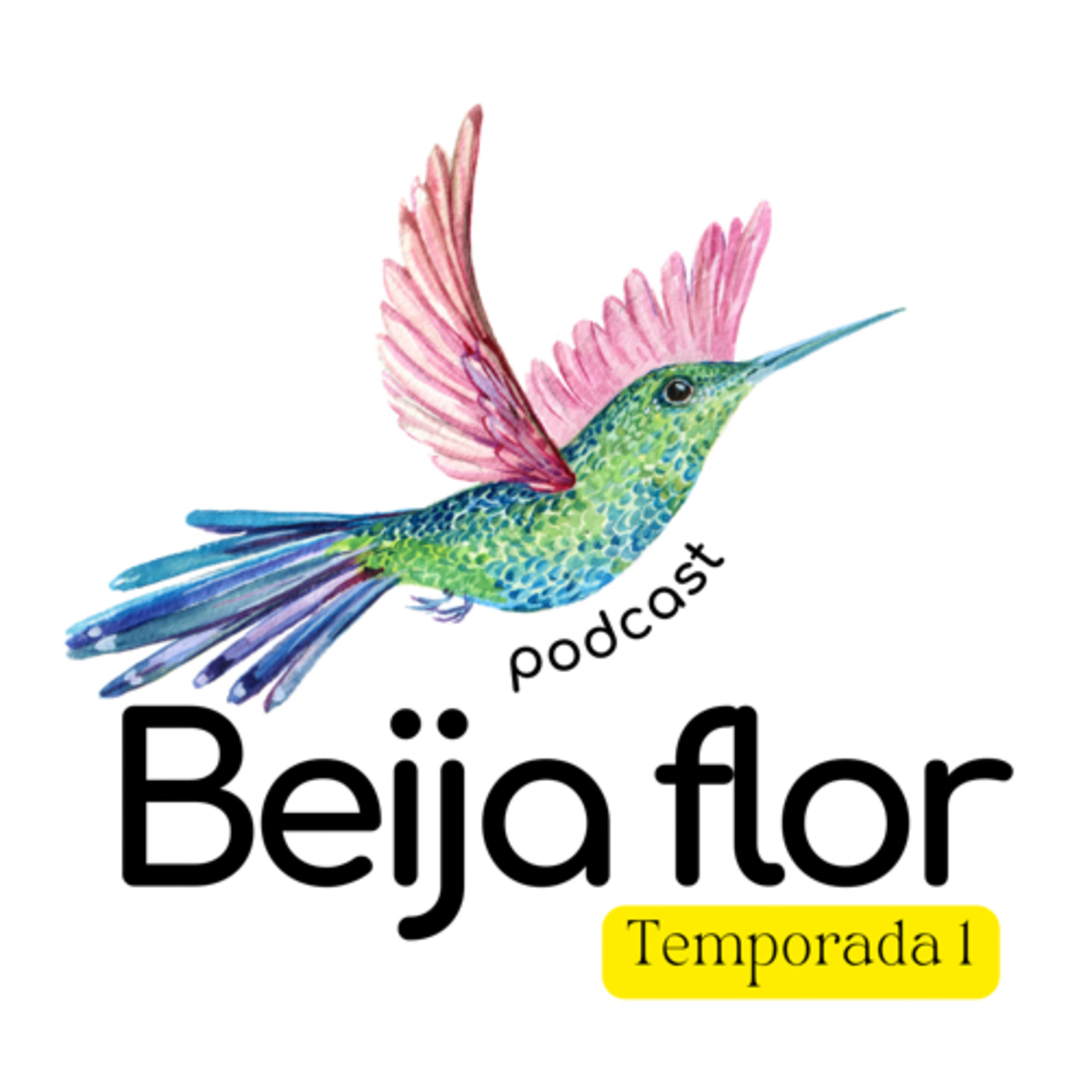 Beija flor