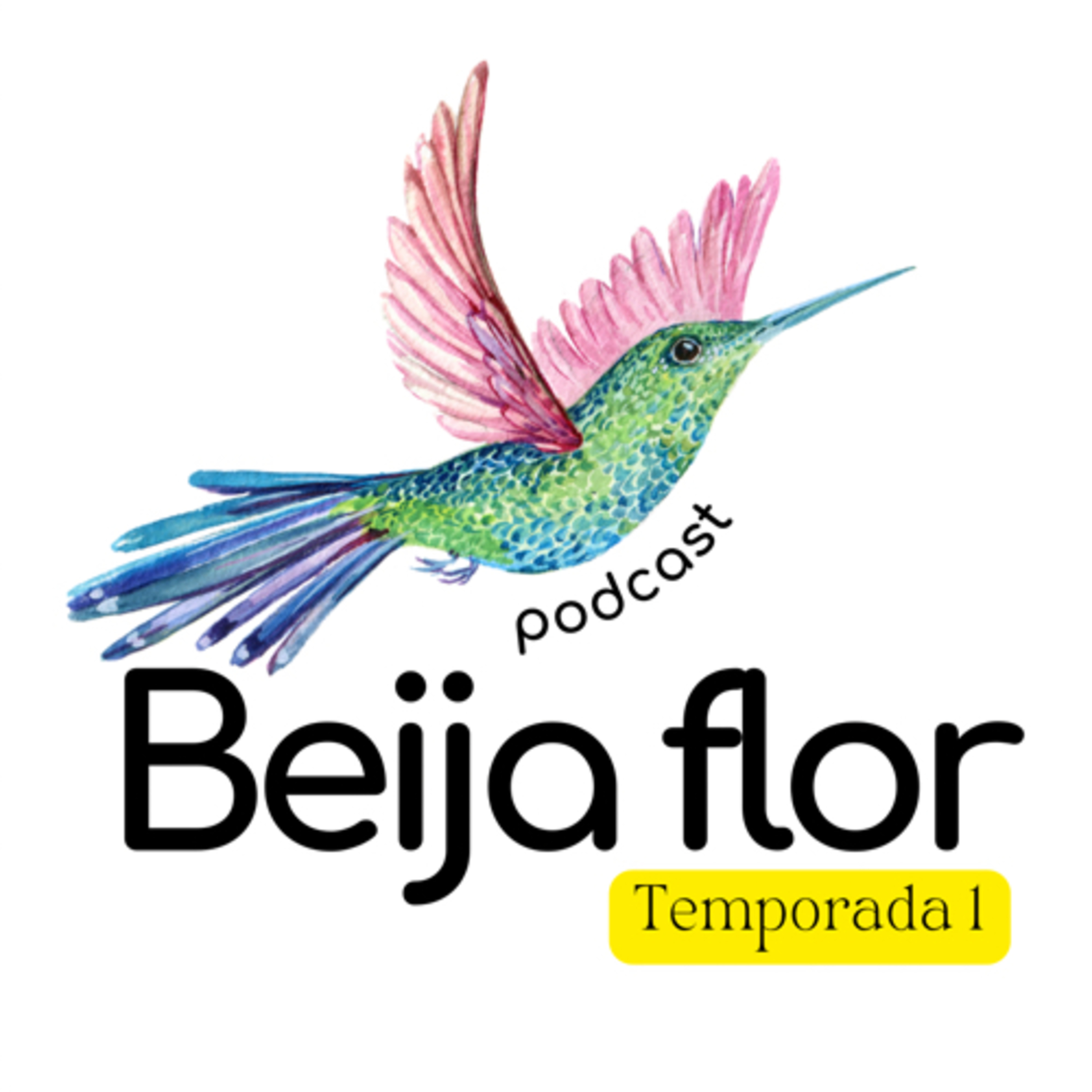 Beija flor