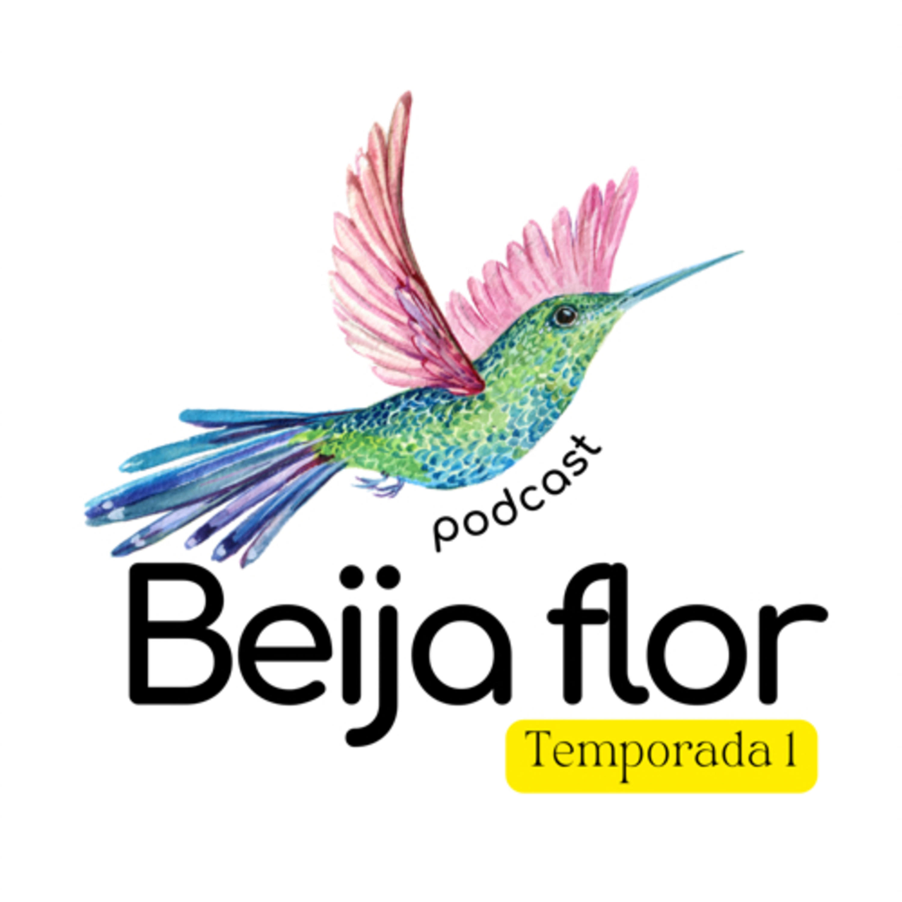 Beija flor