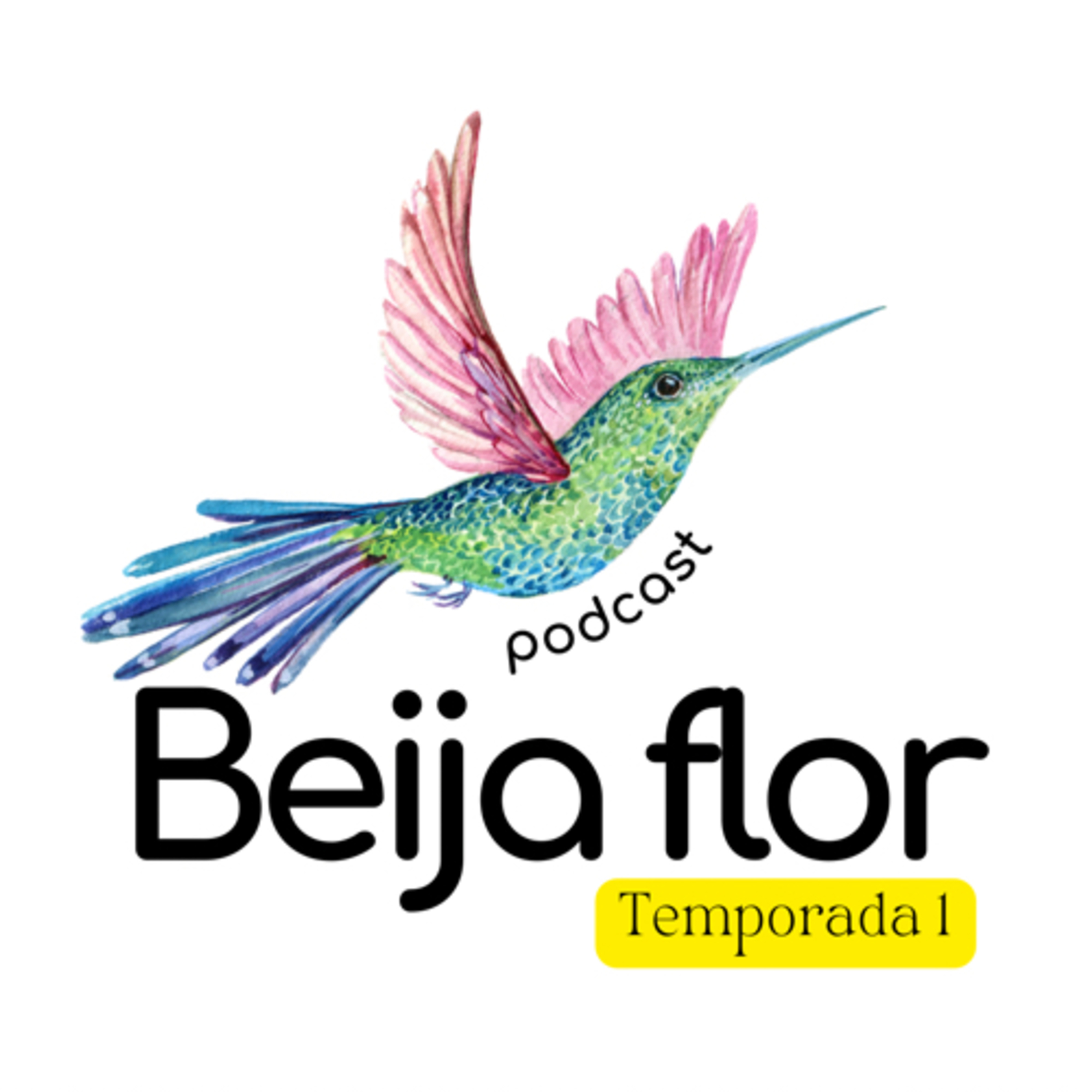 Beija flor