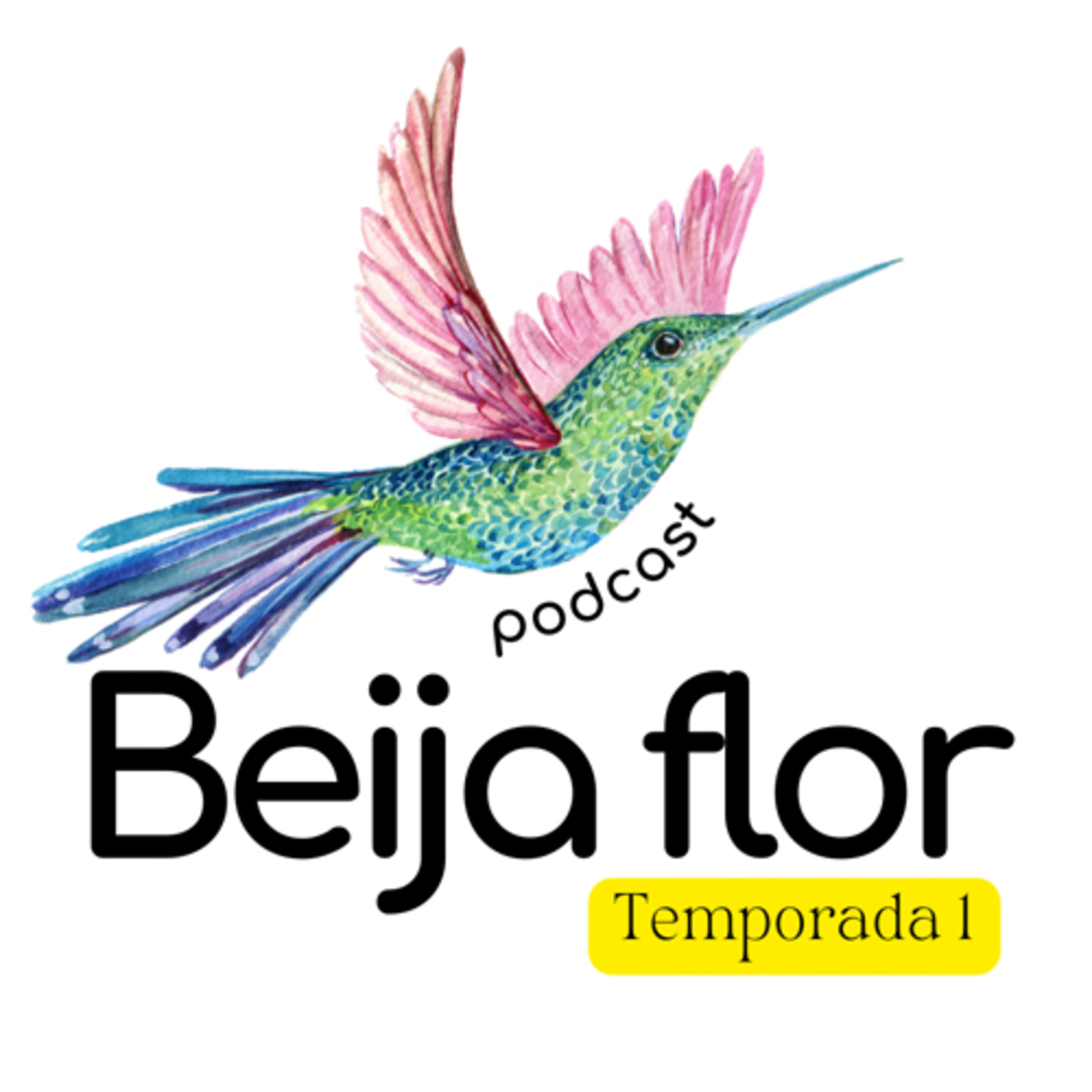 Beija flor