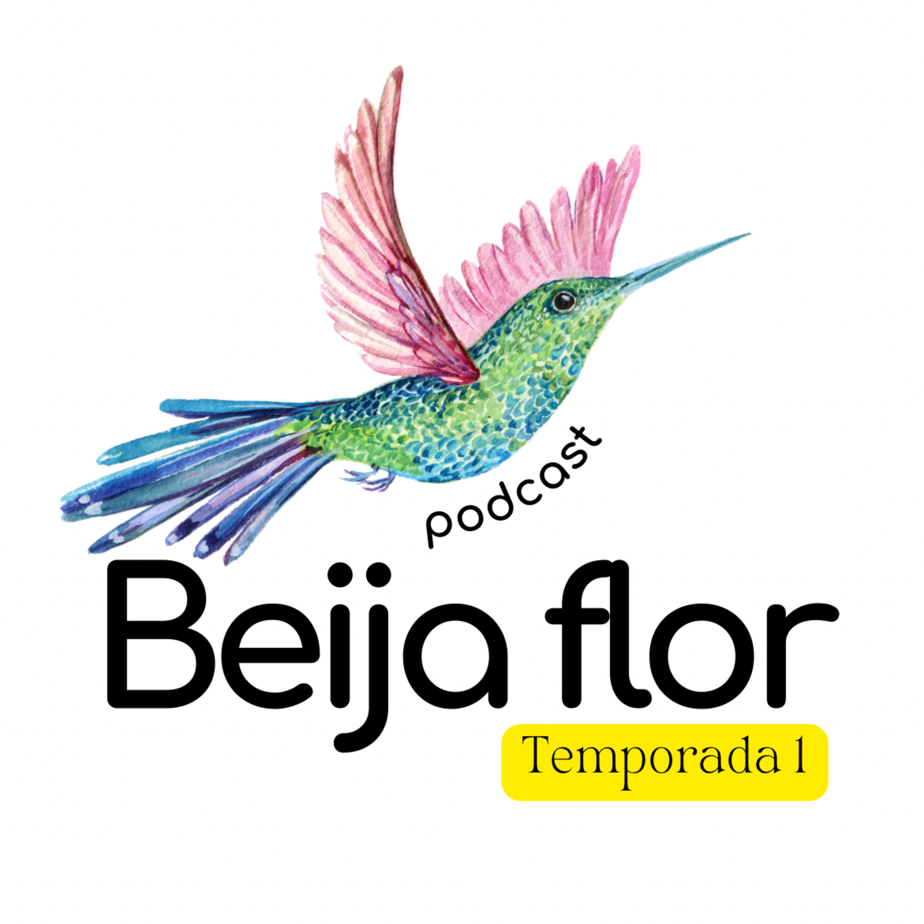 Beija flor