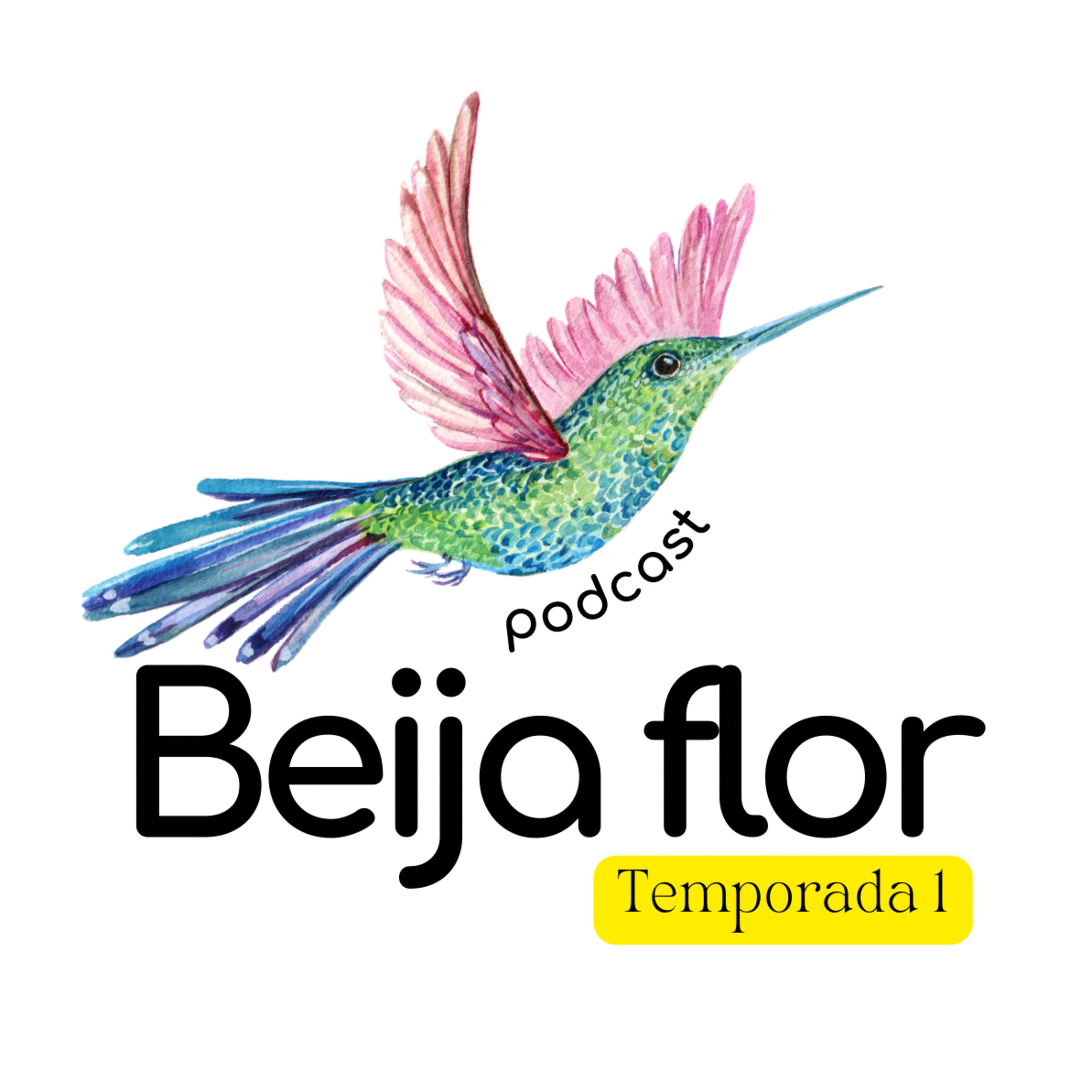 Beija flor