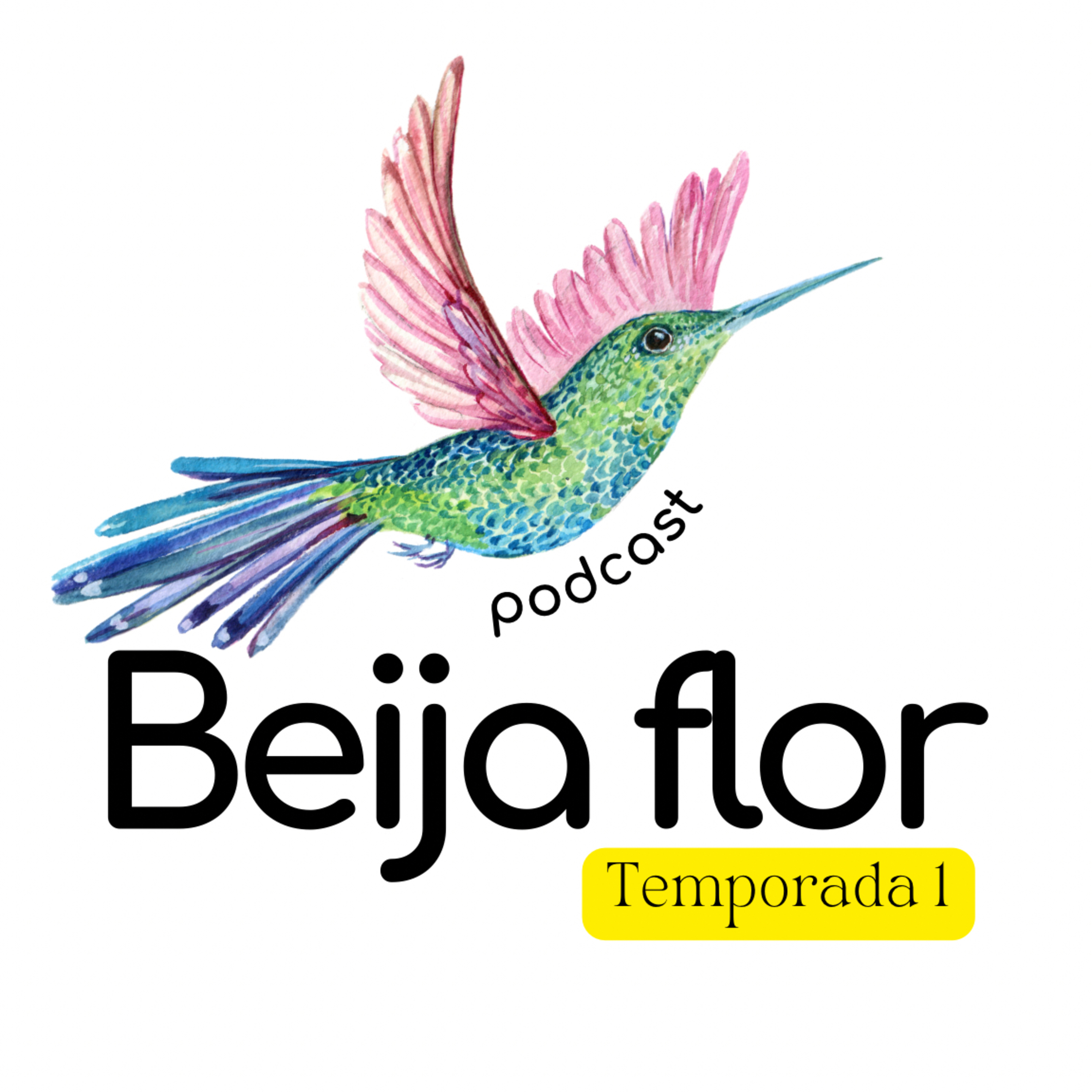 Beija flor