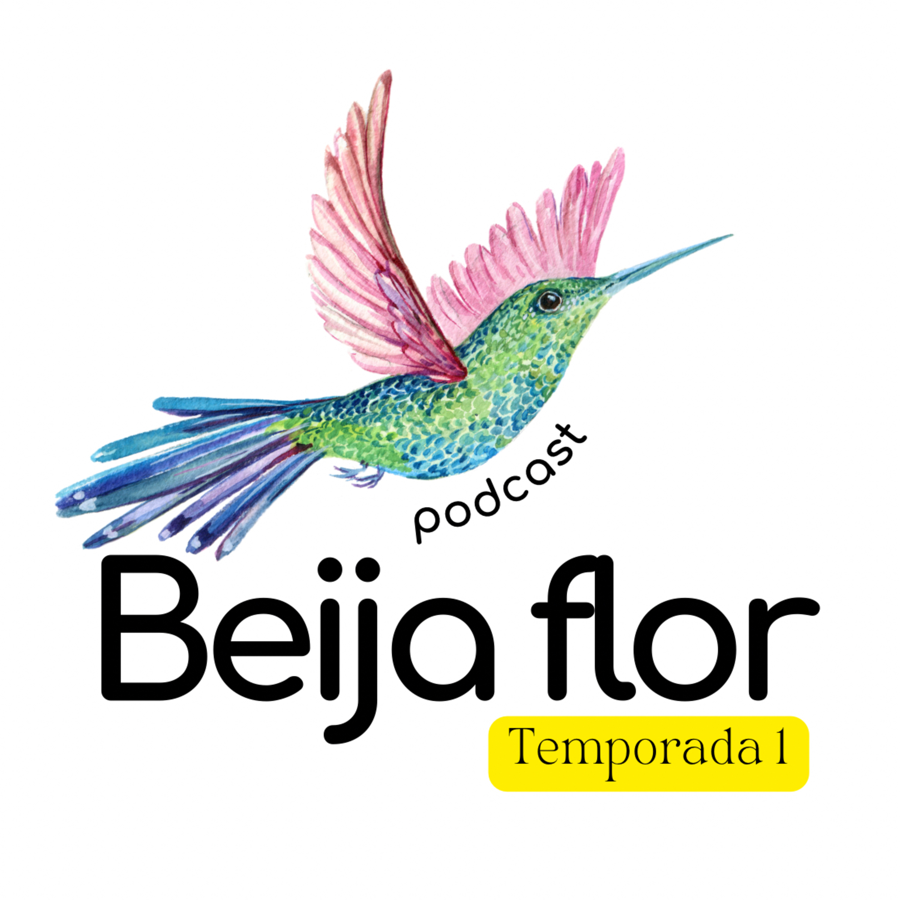 Beija flor