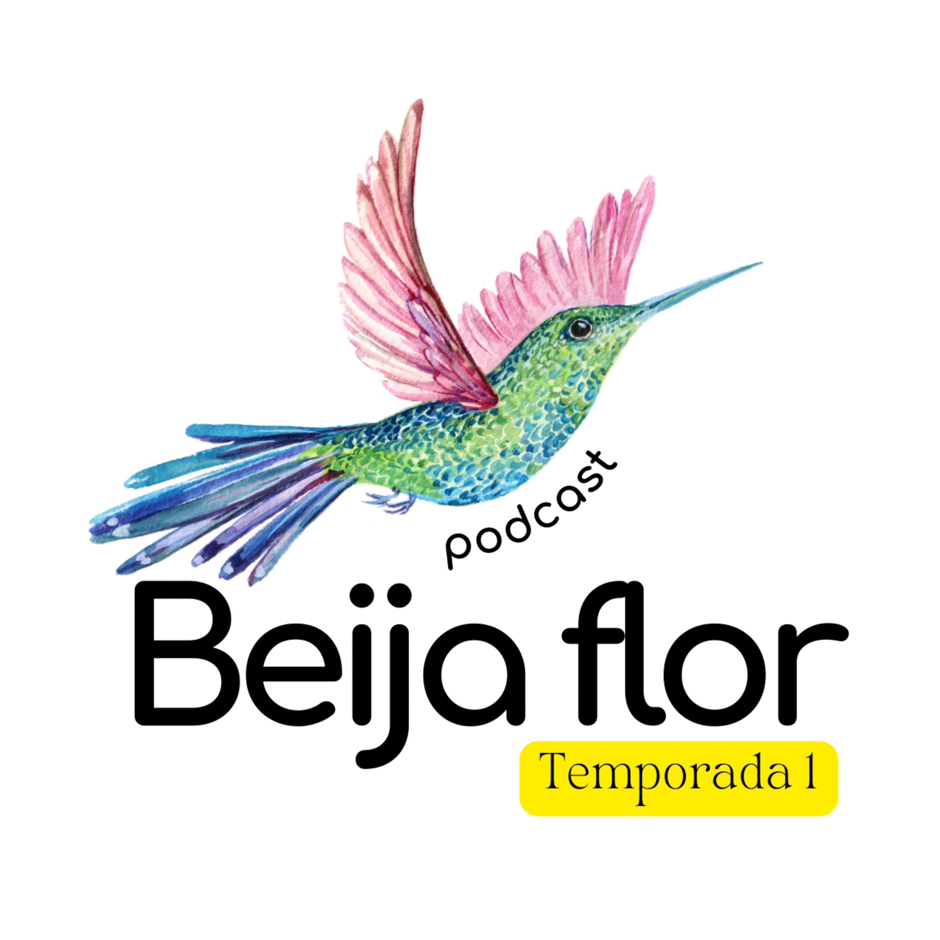 Beija flor