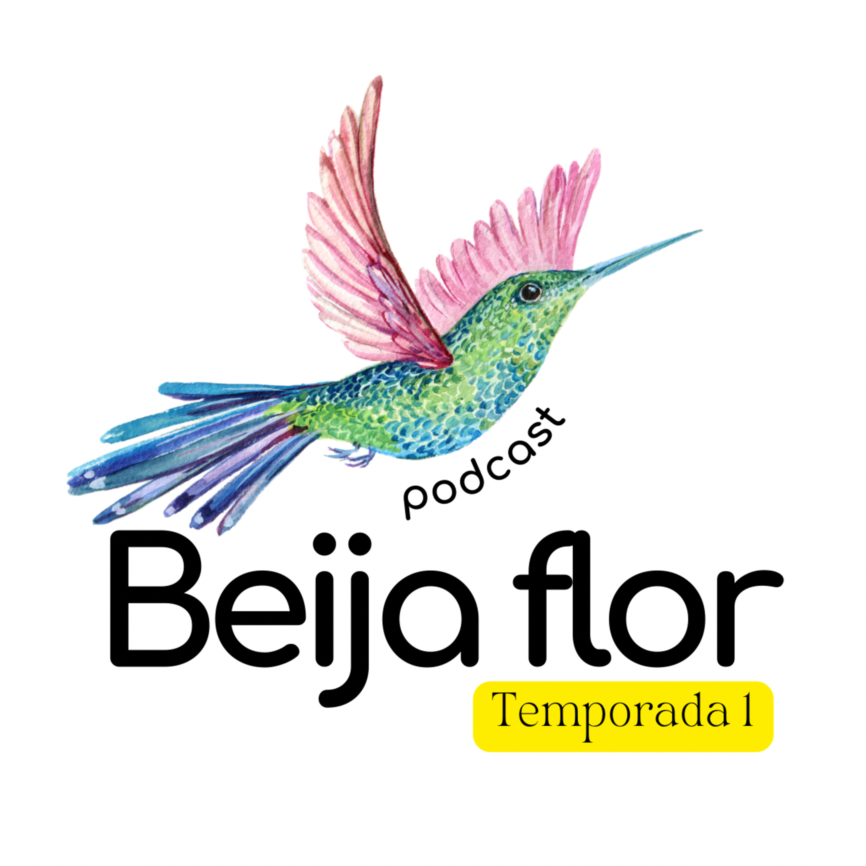 Beija flor