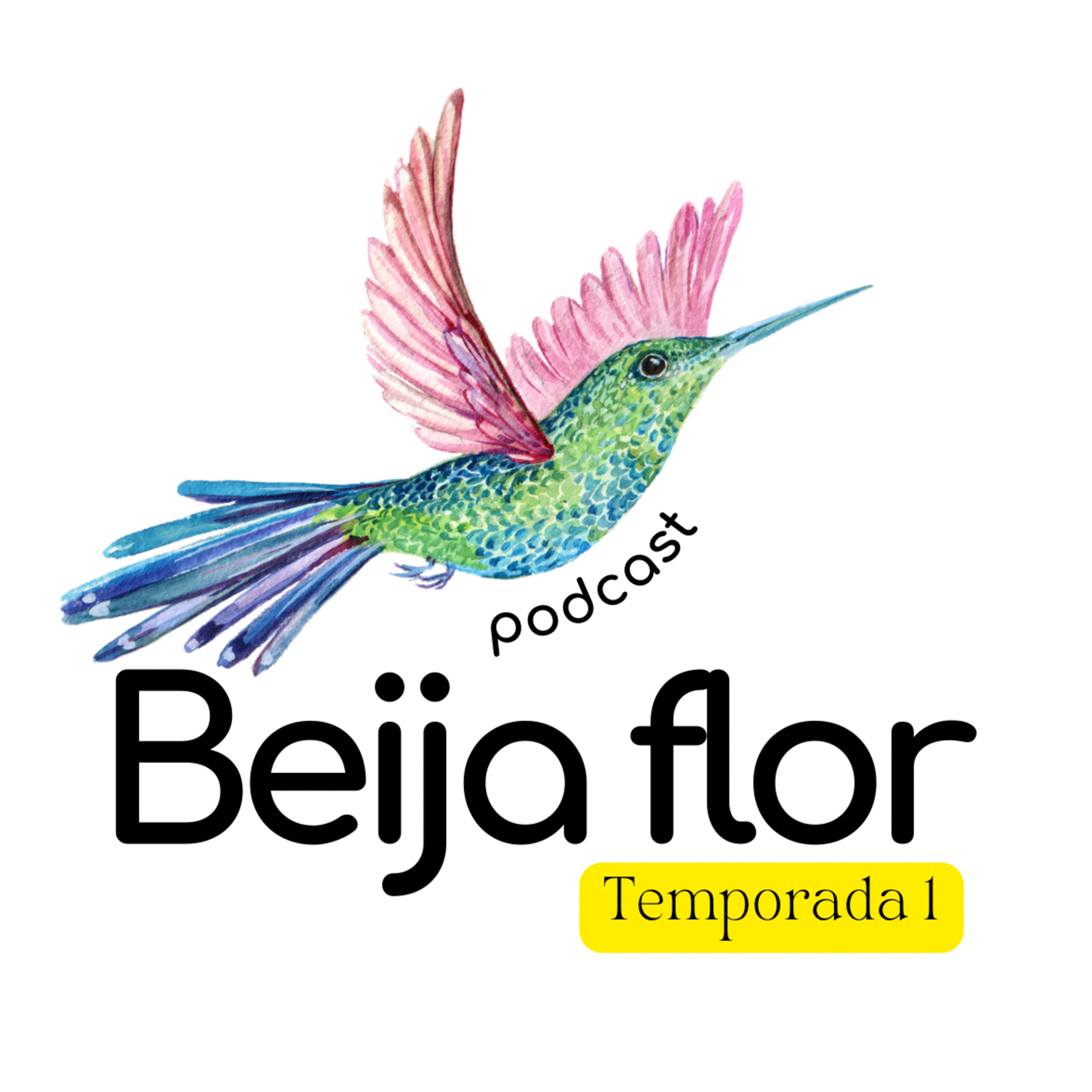 Beija flor