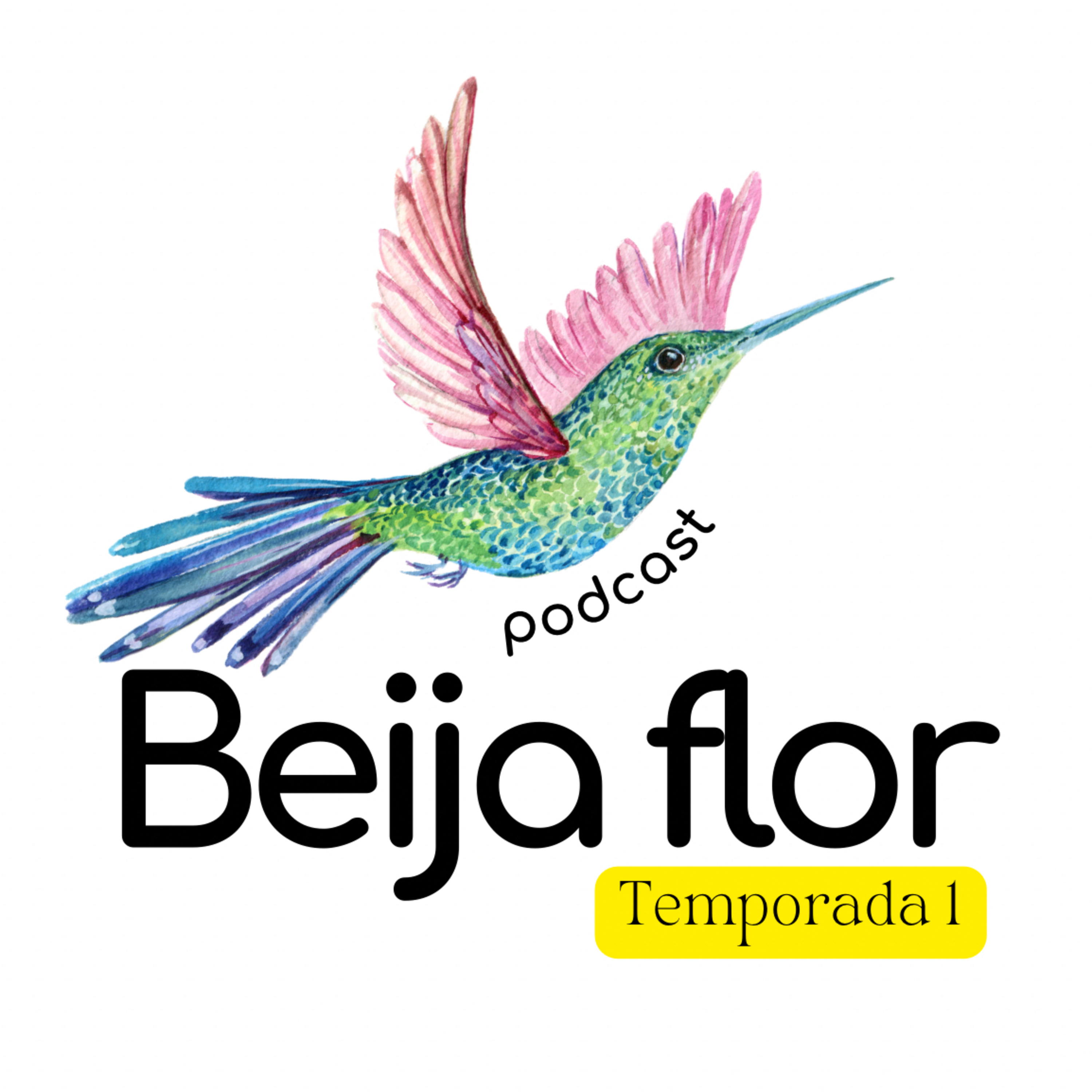 Beija flor