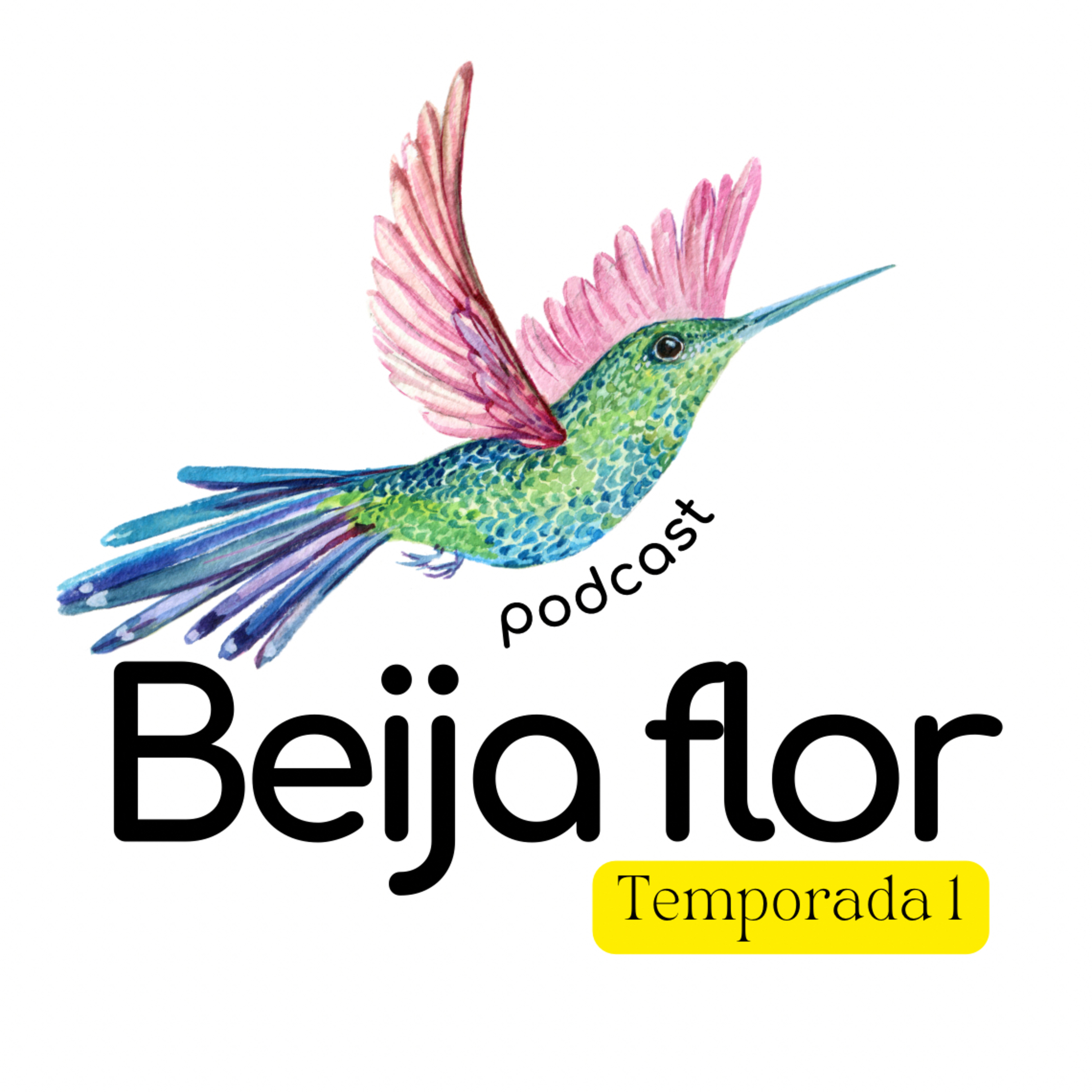 Beija flor