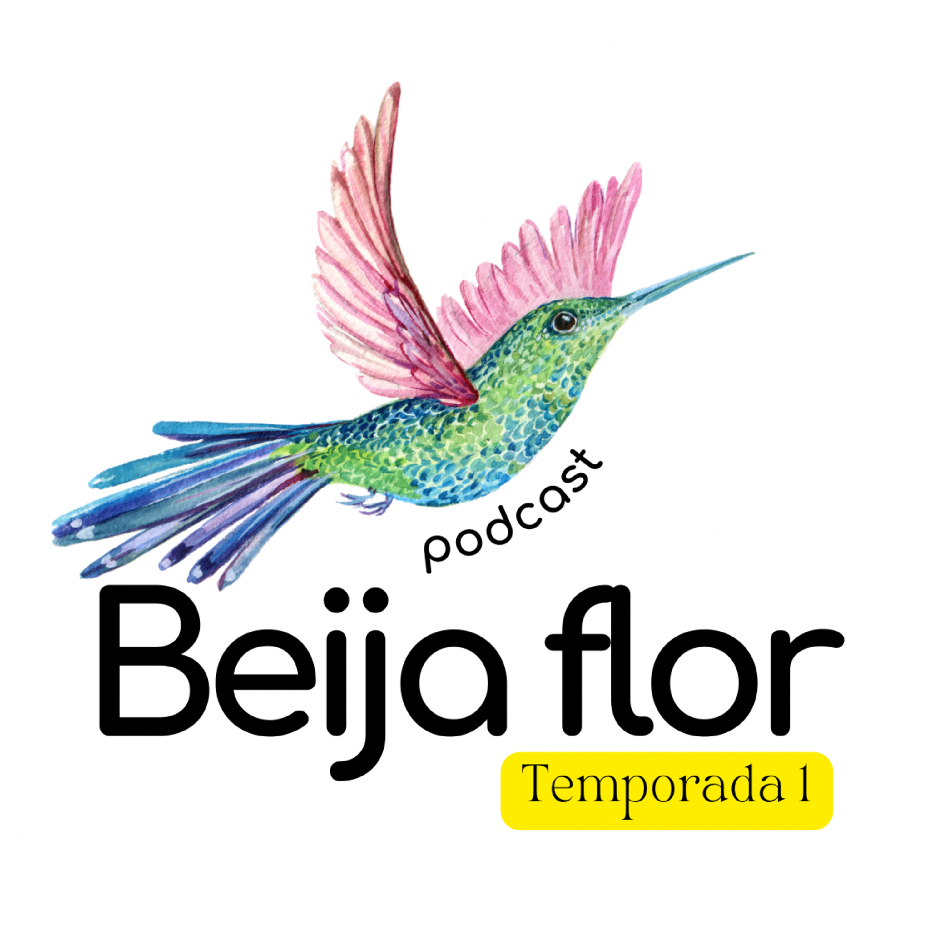 Beija flor