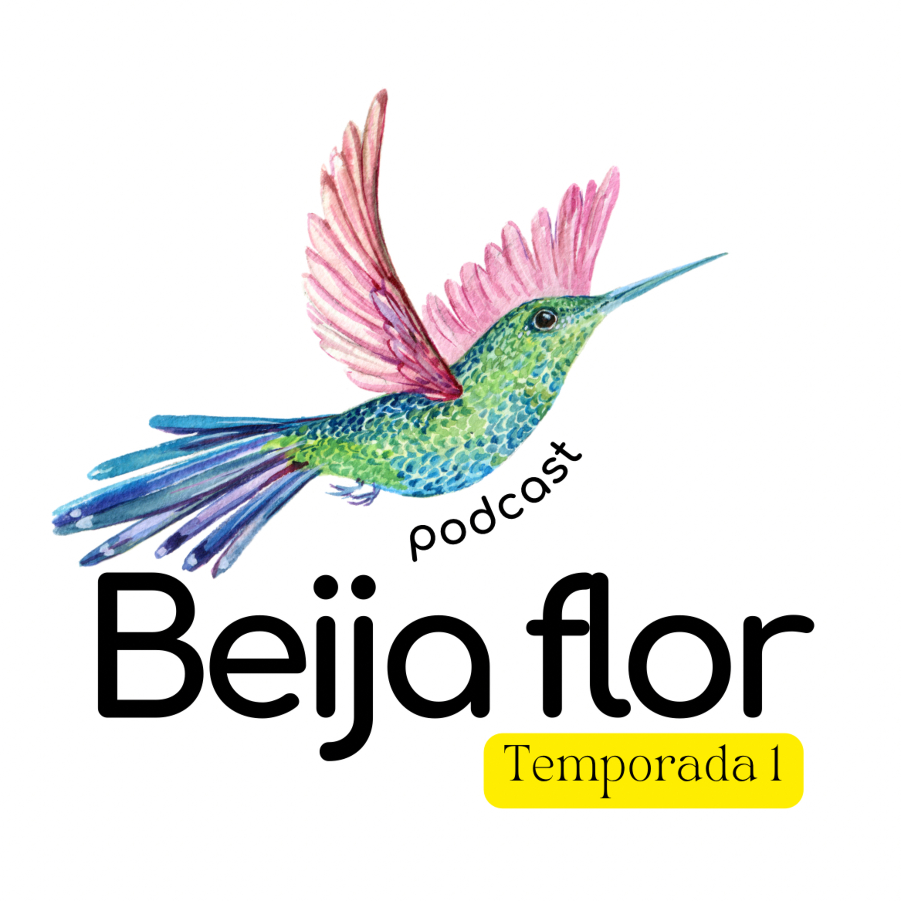 Beija flor