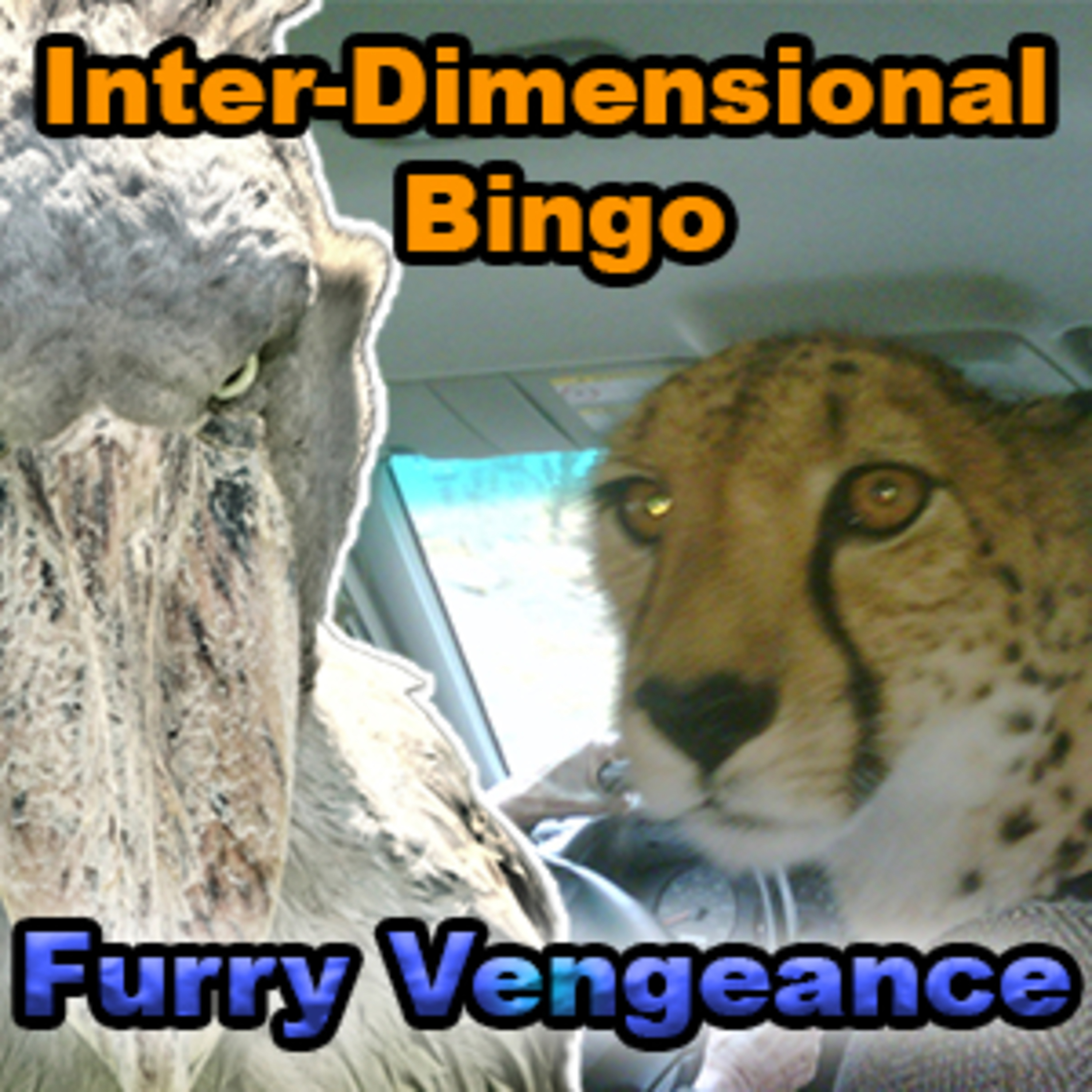 Inter-Dimensional Bingo