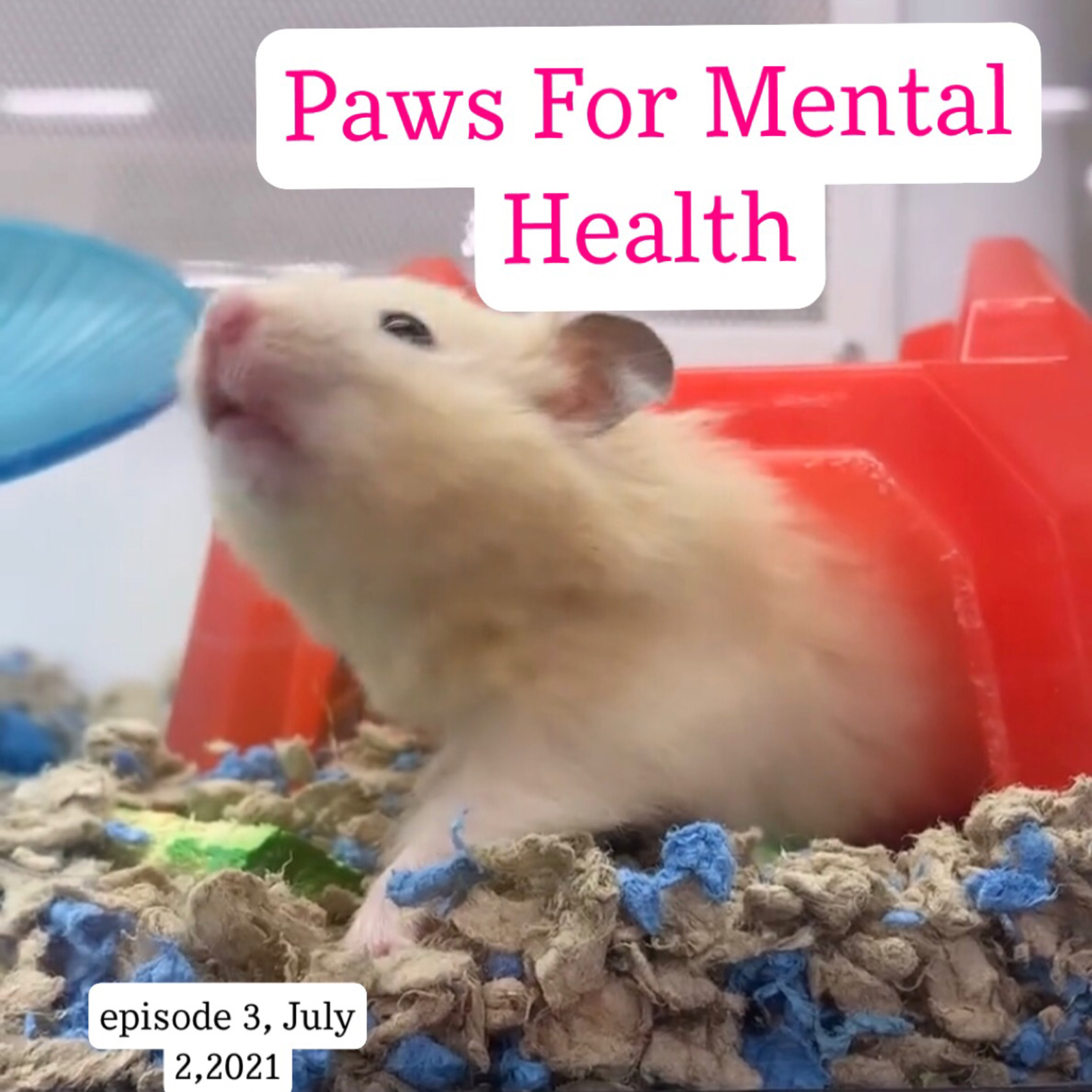 Paws for Mental Health
