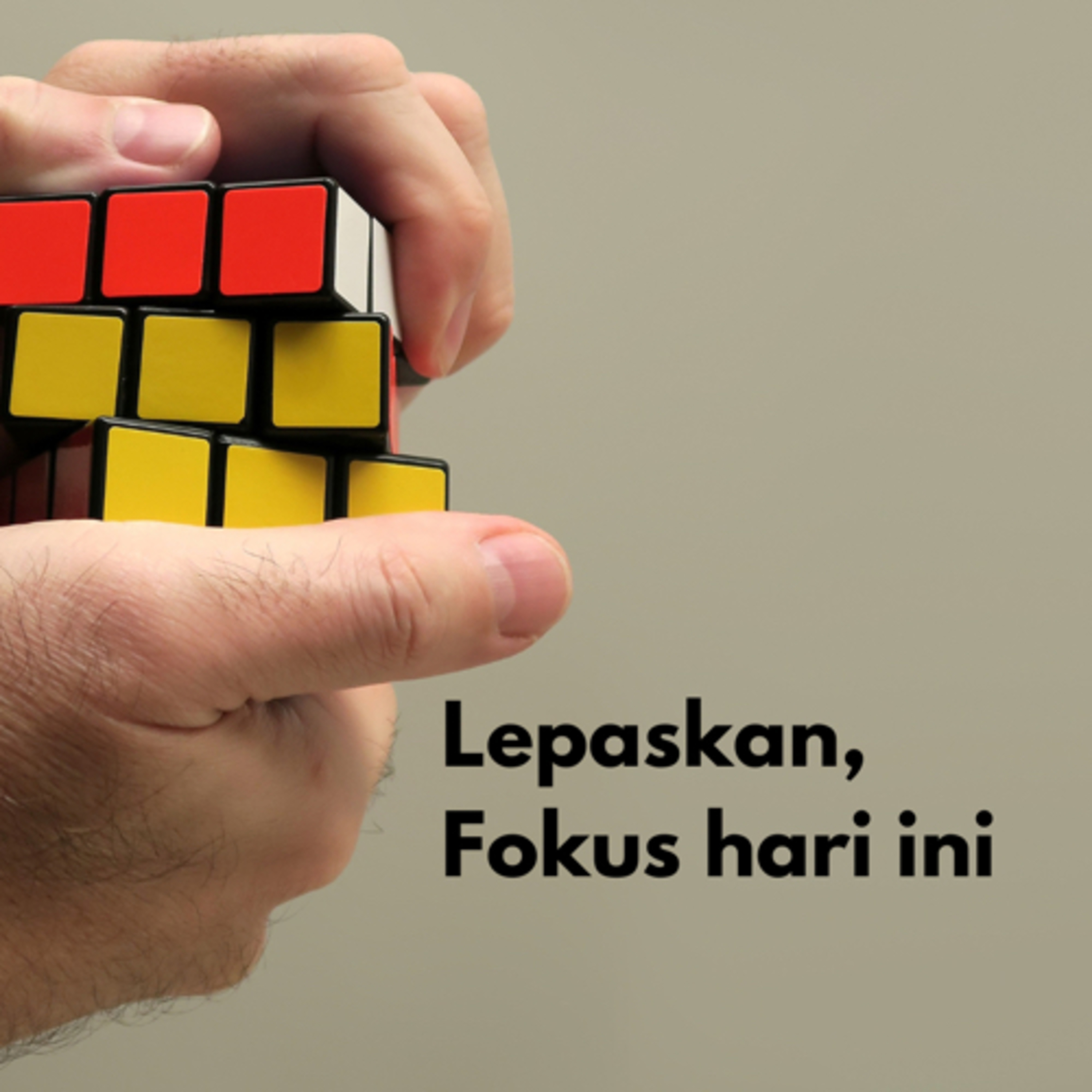 Support System Kamu