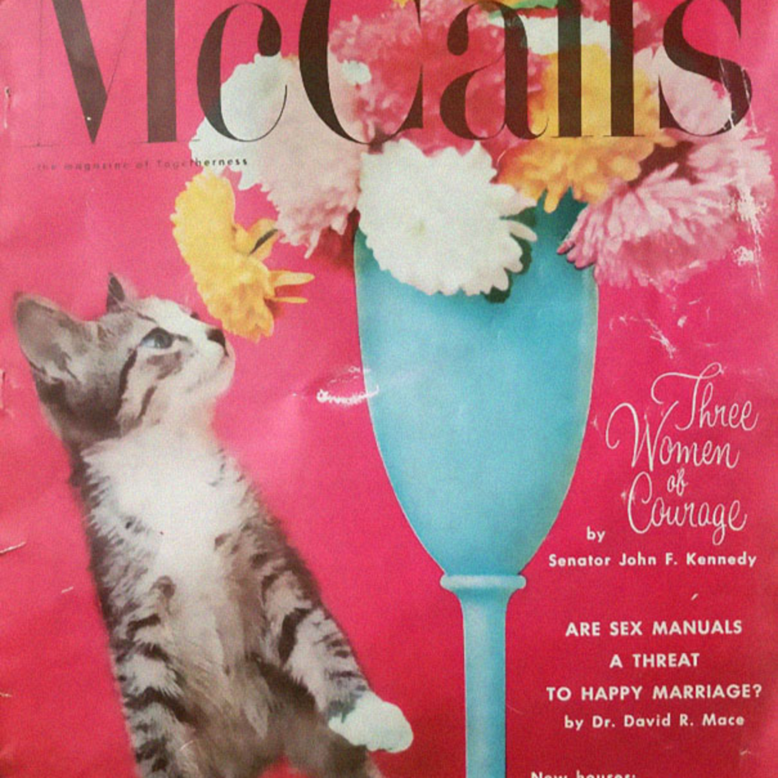 129 Ways to Get a Husband, or not