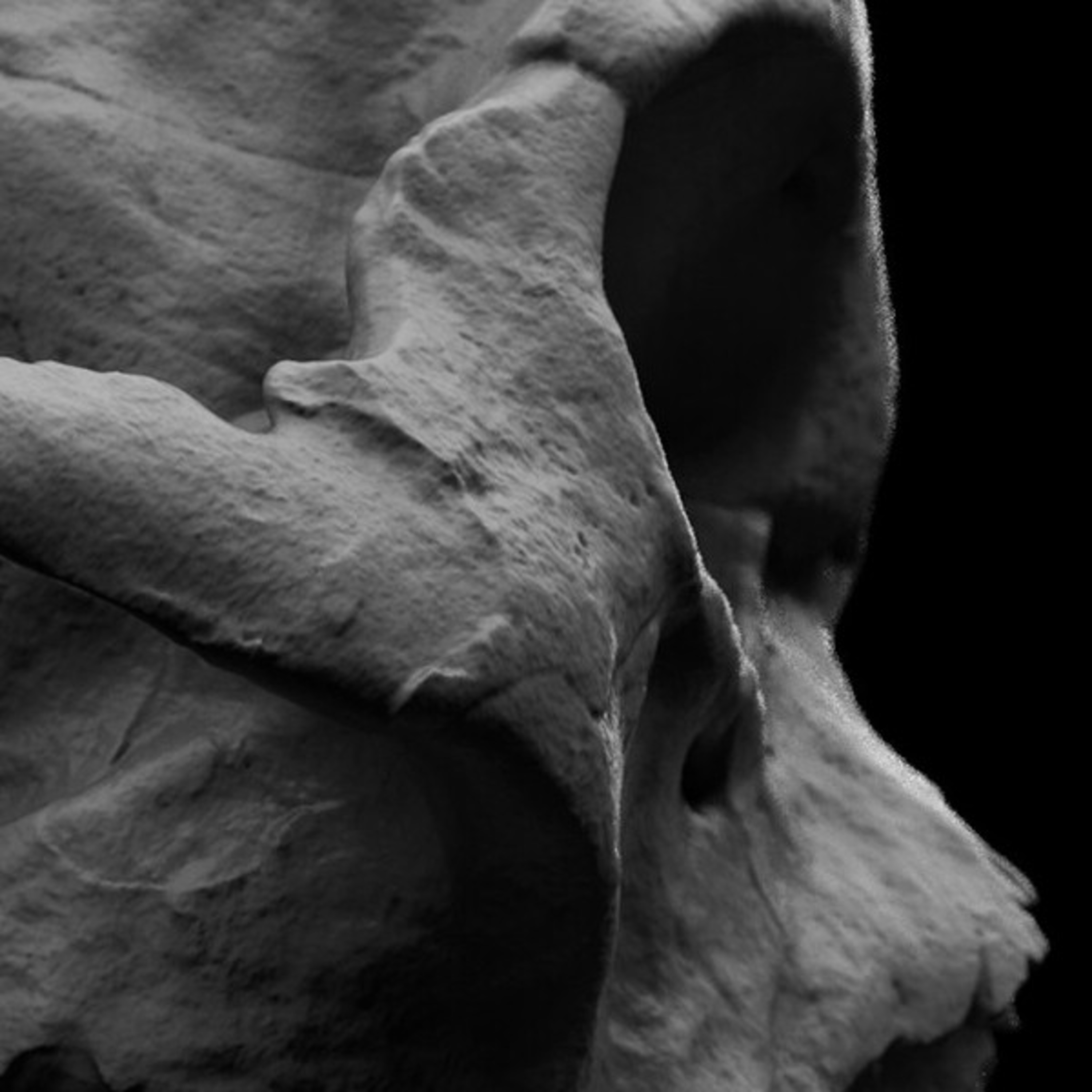 O Desenvolvimento Humano