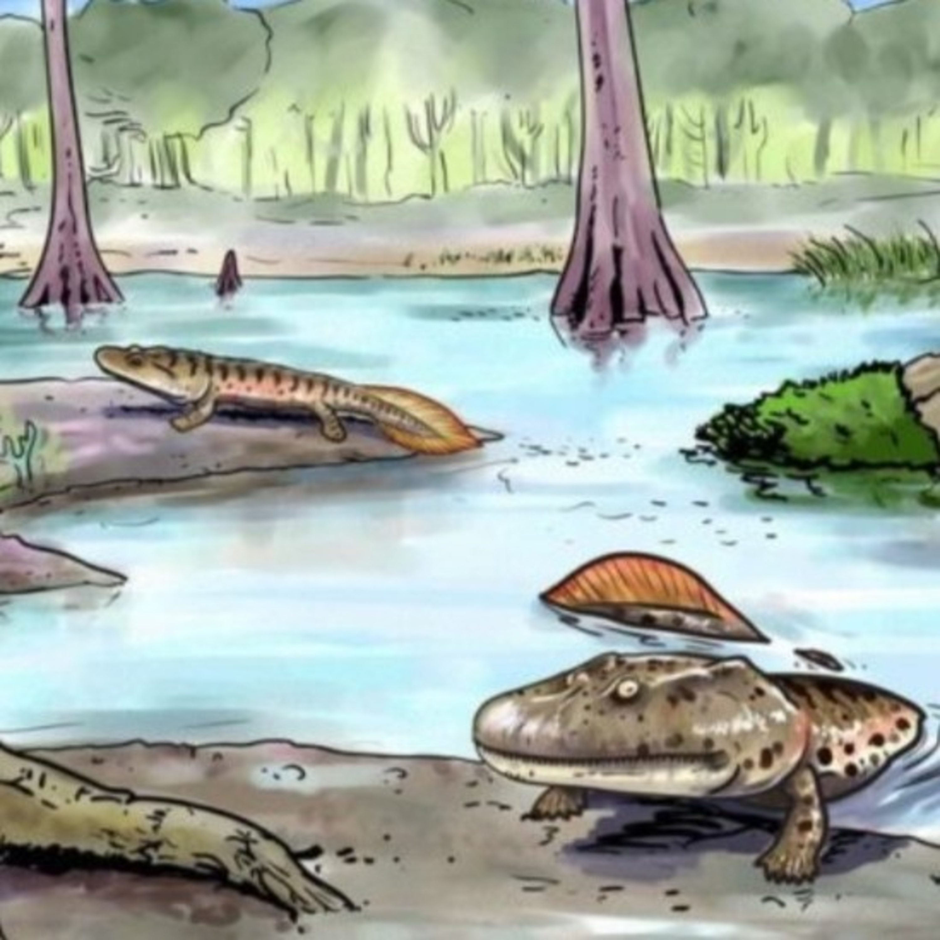 ¿ Como se producen los grandes saltos en la evolucion biológica? 