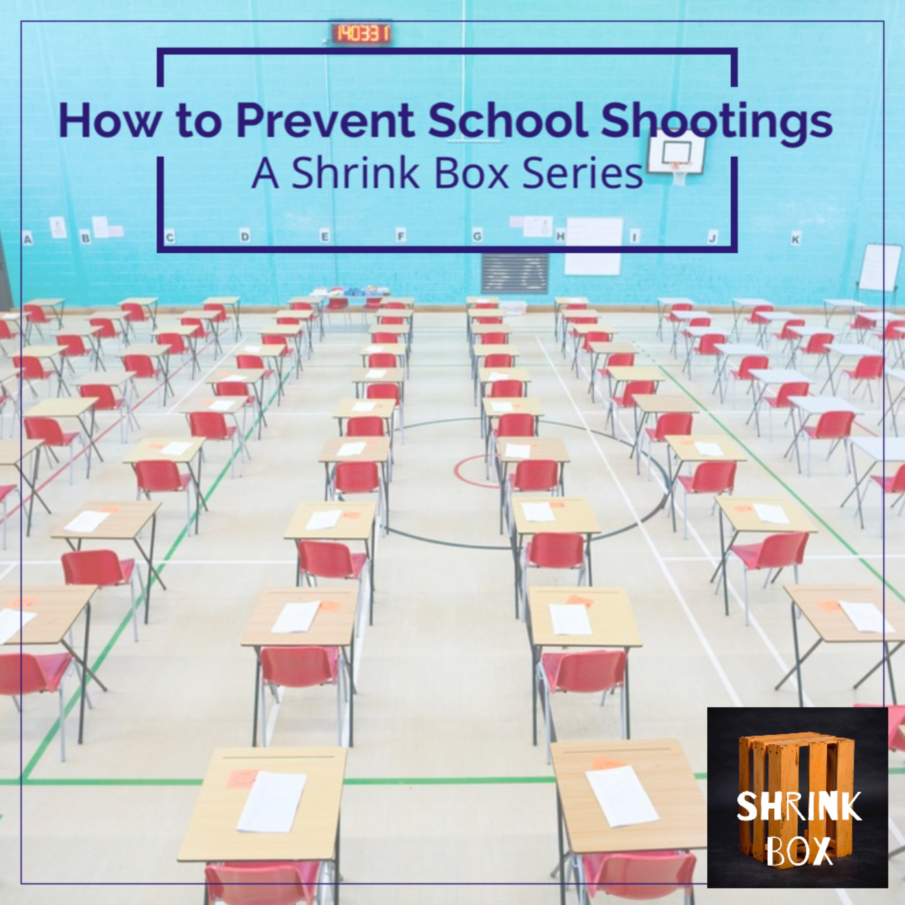 How to Prevent School Shootings 2.0