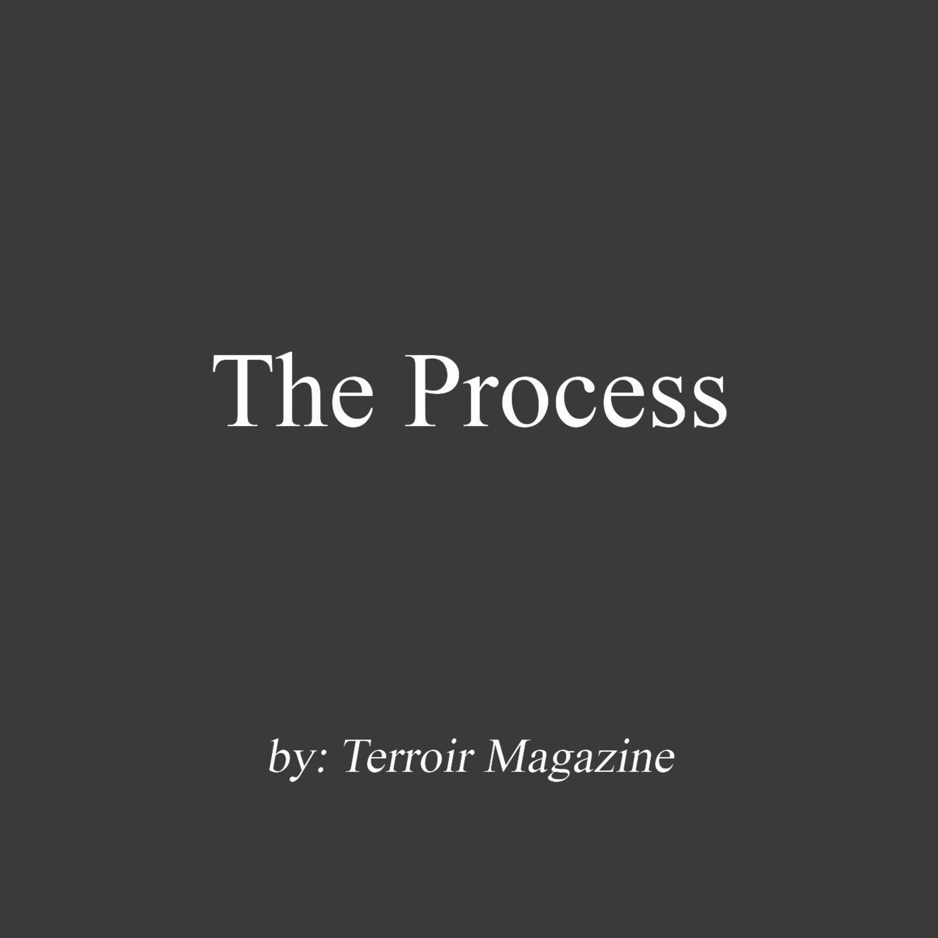 What it Takes to Make it with Meredith Lacosse episode artwork