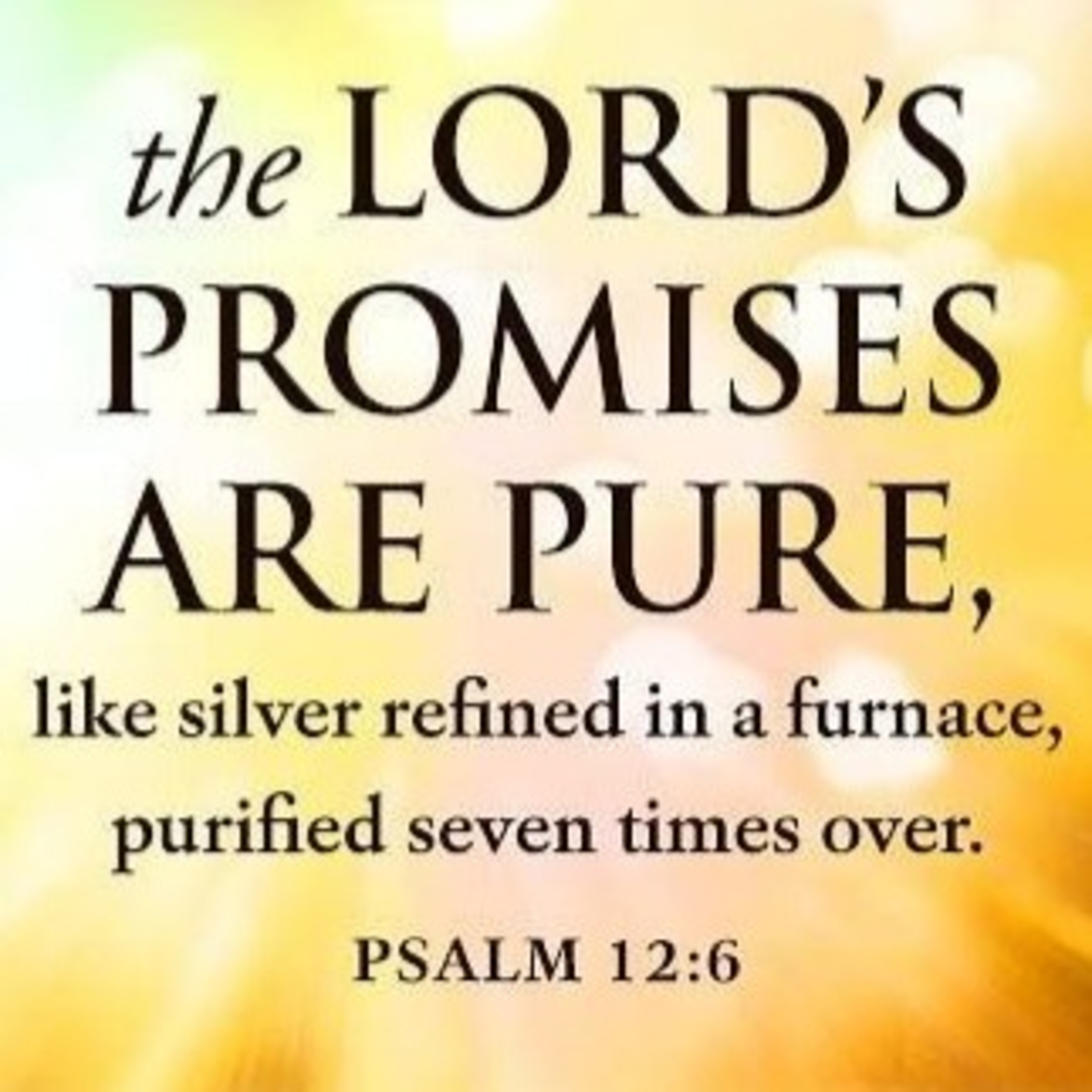 PURE PROMISES