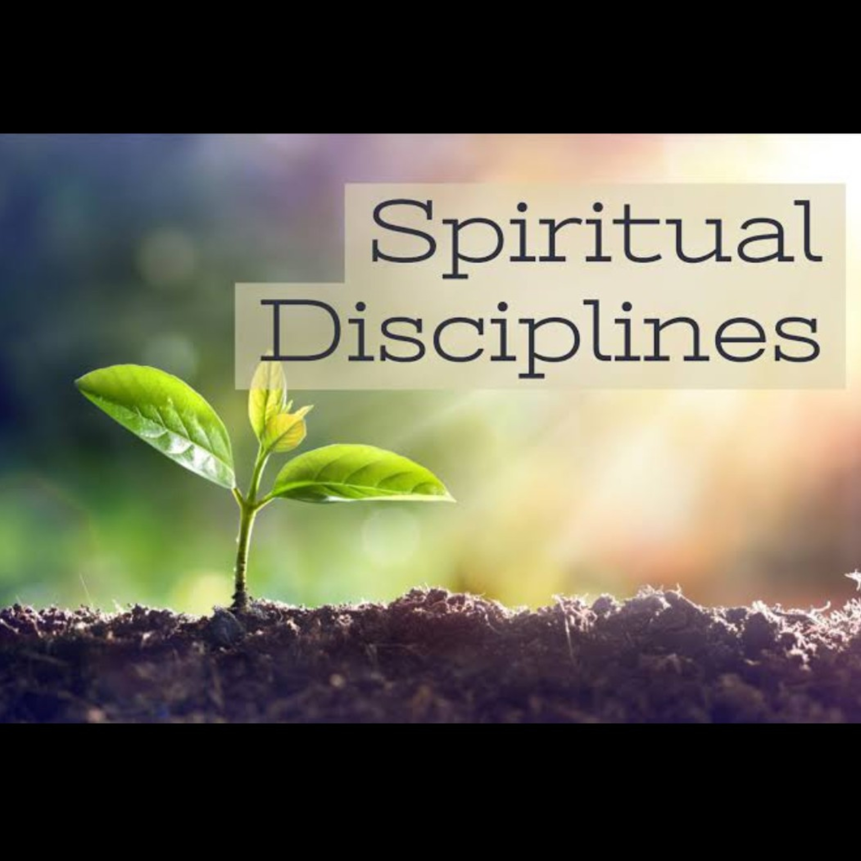 Spiritual Disciplines