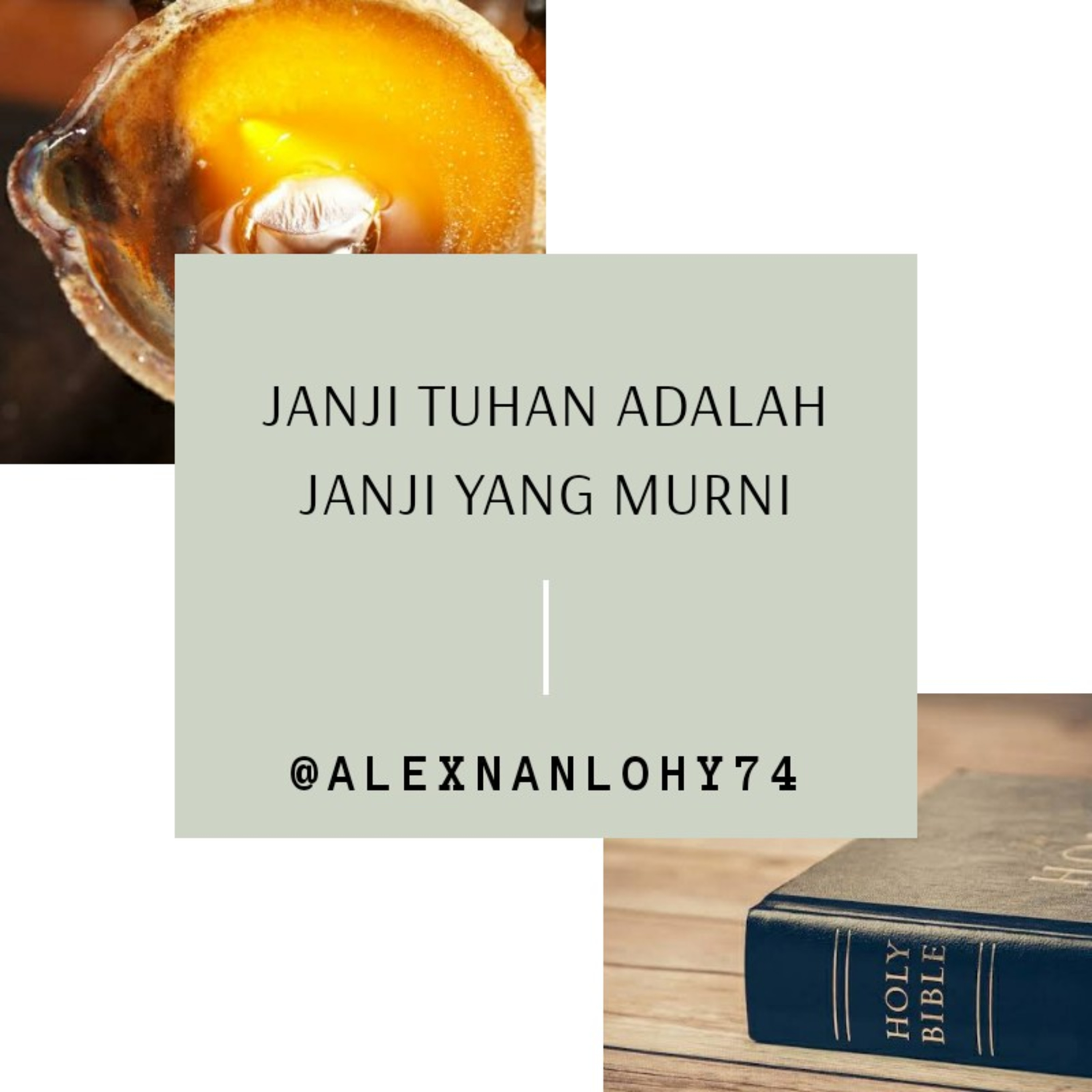 JANJI yang MURNI - Mazmur 12 episode artwork