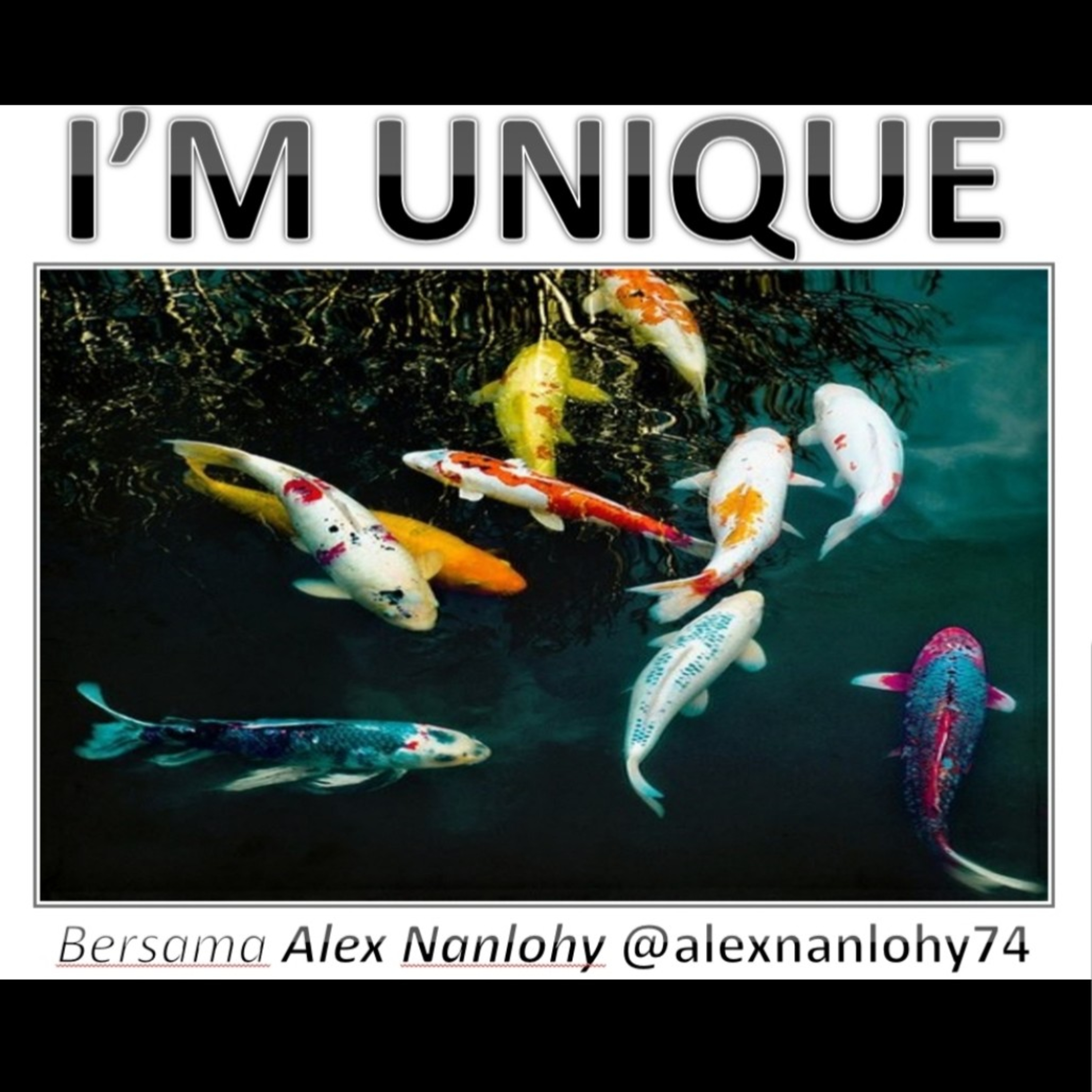 I'M UNIQUE - WHO AM I ?