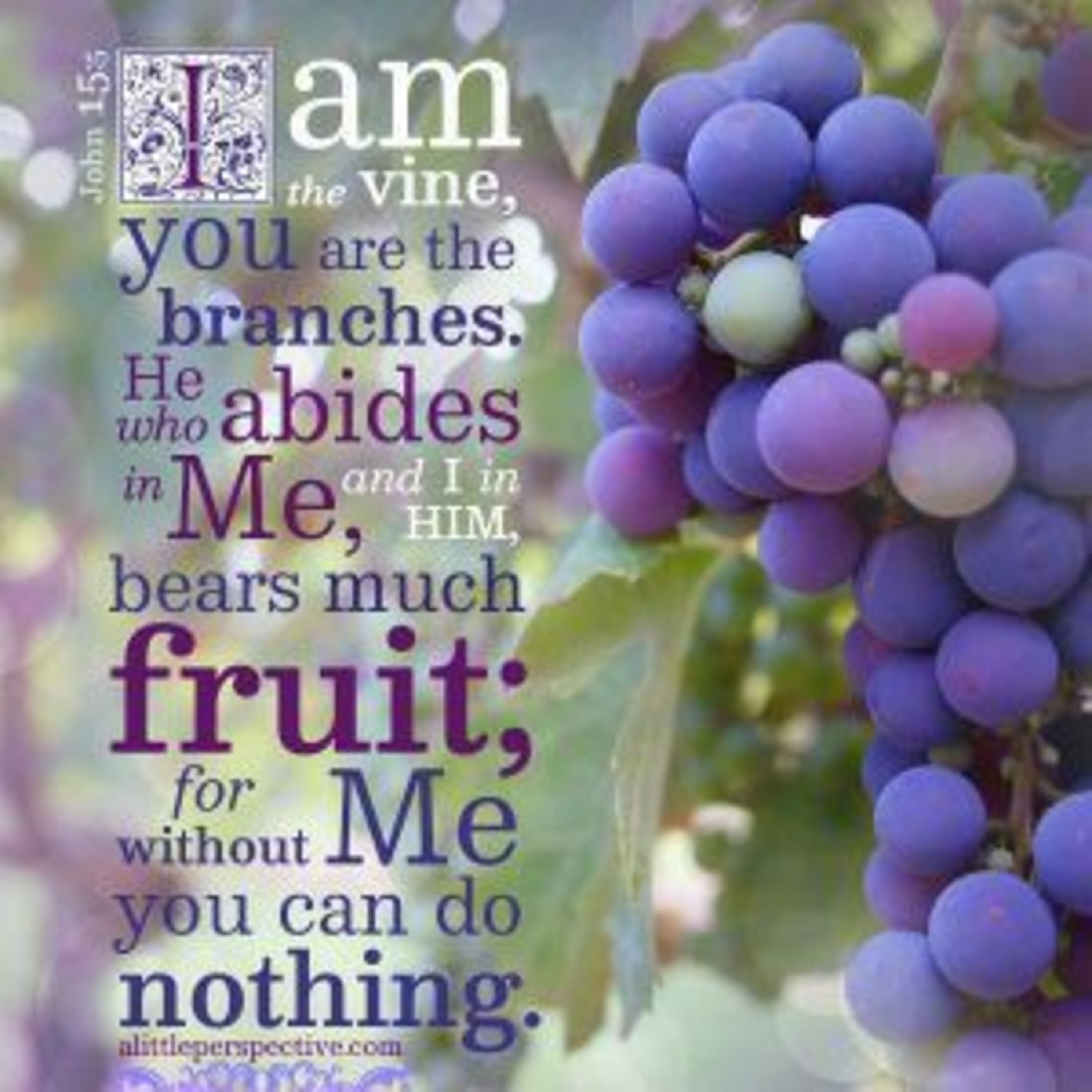 Eksposisi Yohanes 15:1-8