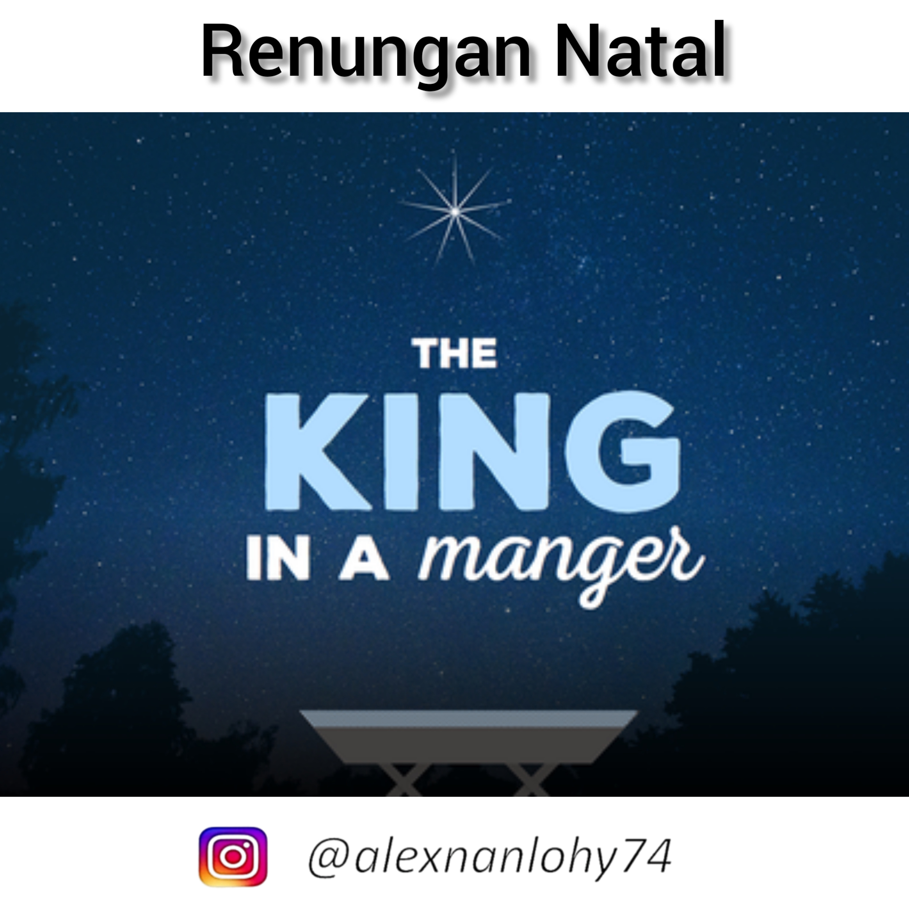 THE KING IN A MANGER