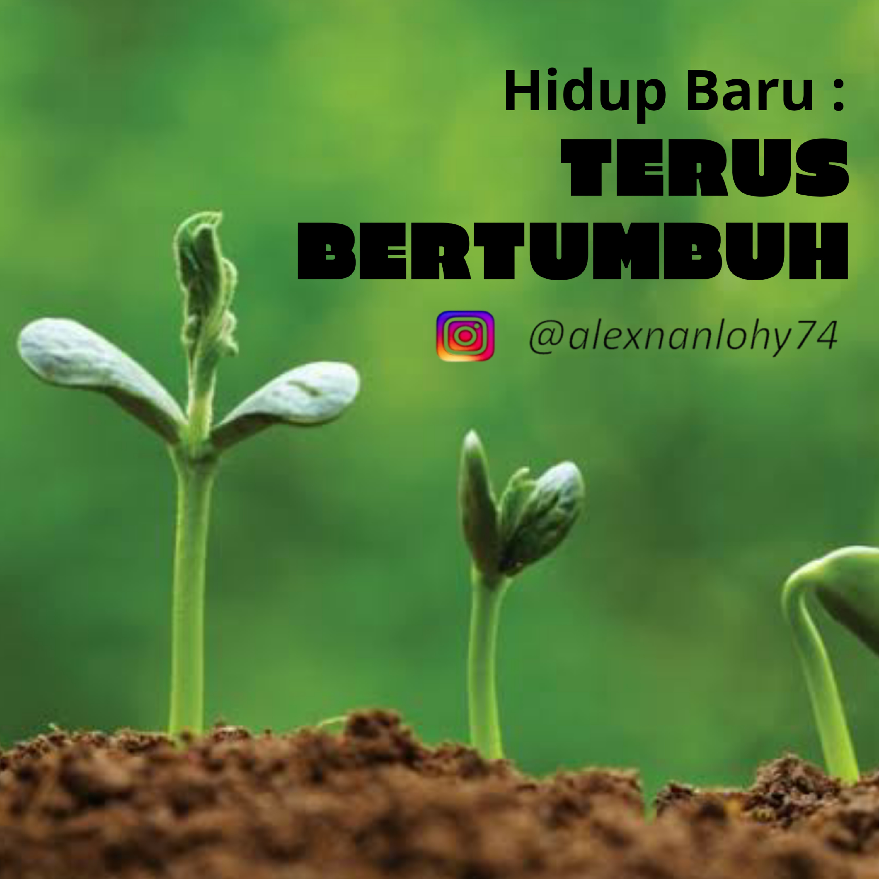 HIDUP BARU : TERUS BERTUMBUH