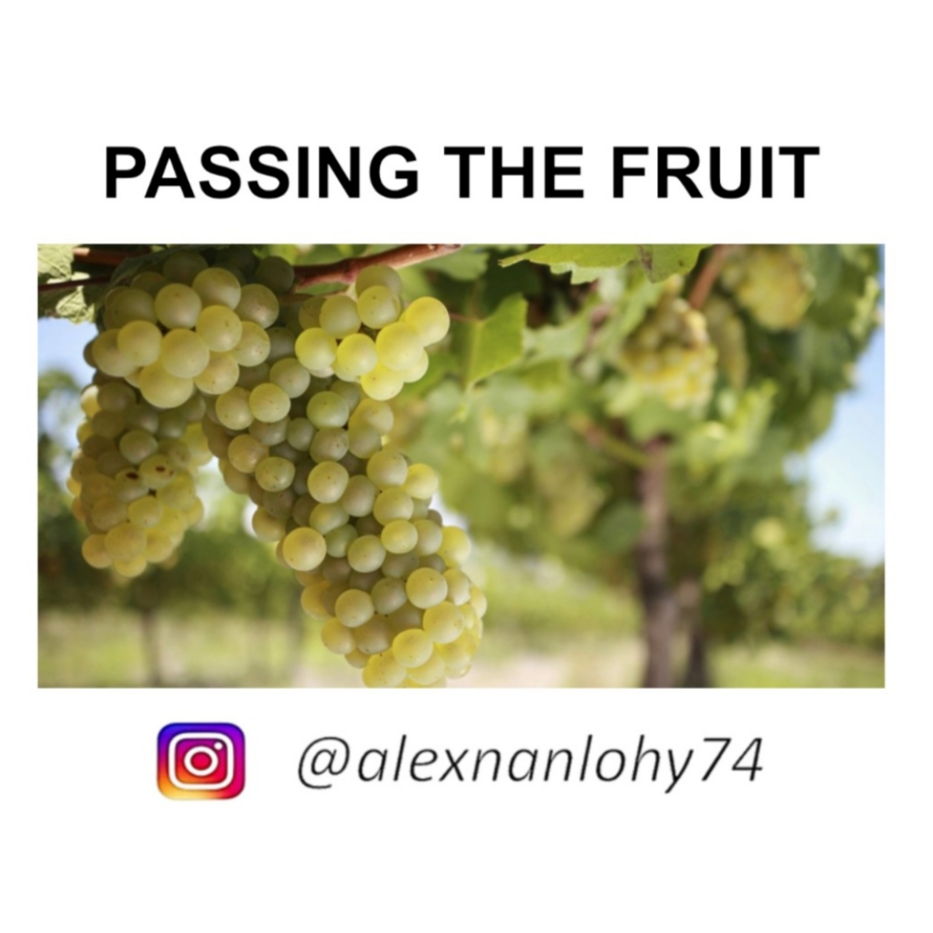 PASSING THE FRUIT (KOMUNITAS)