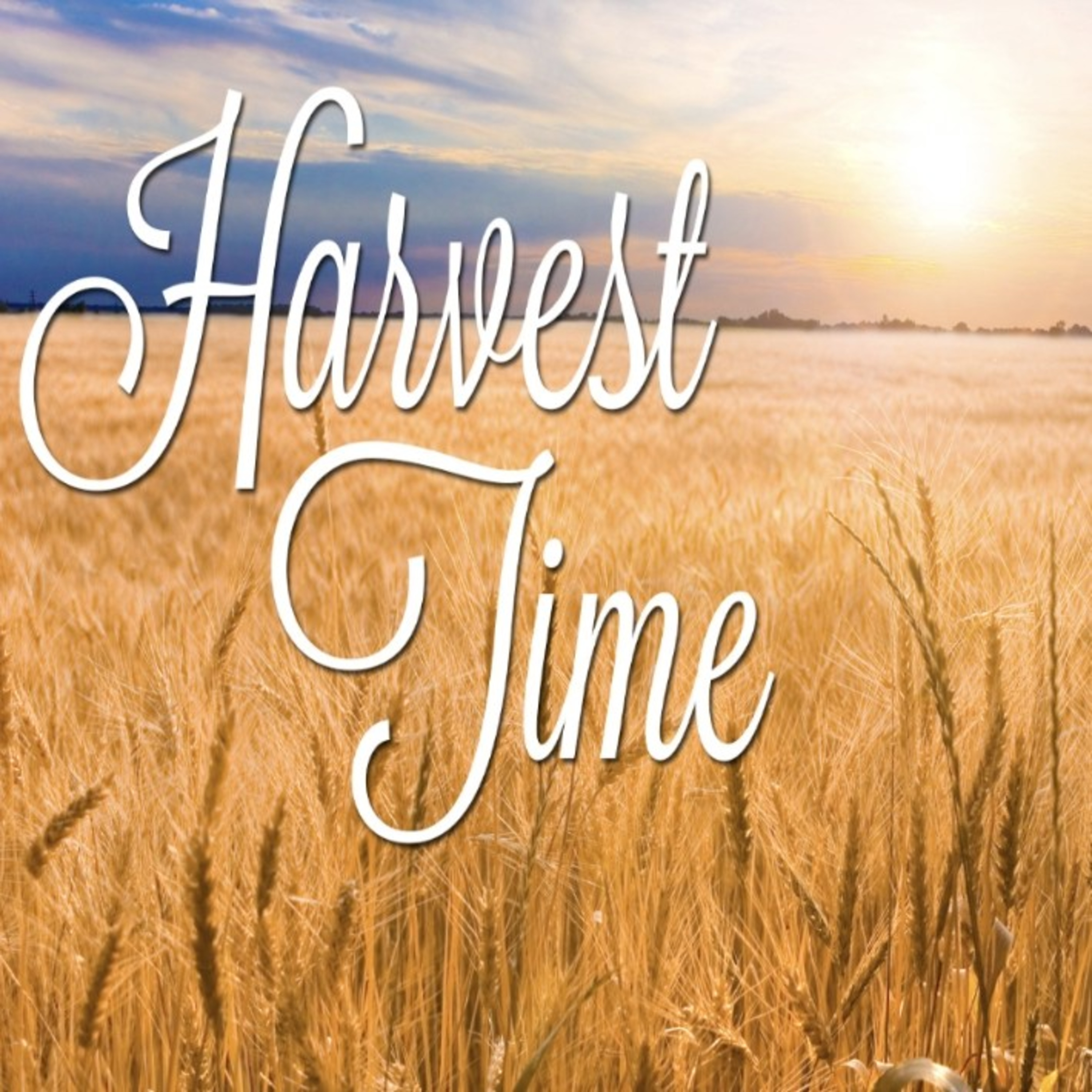 HARVEST TIME - BUAH PERTUMBUHAN