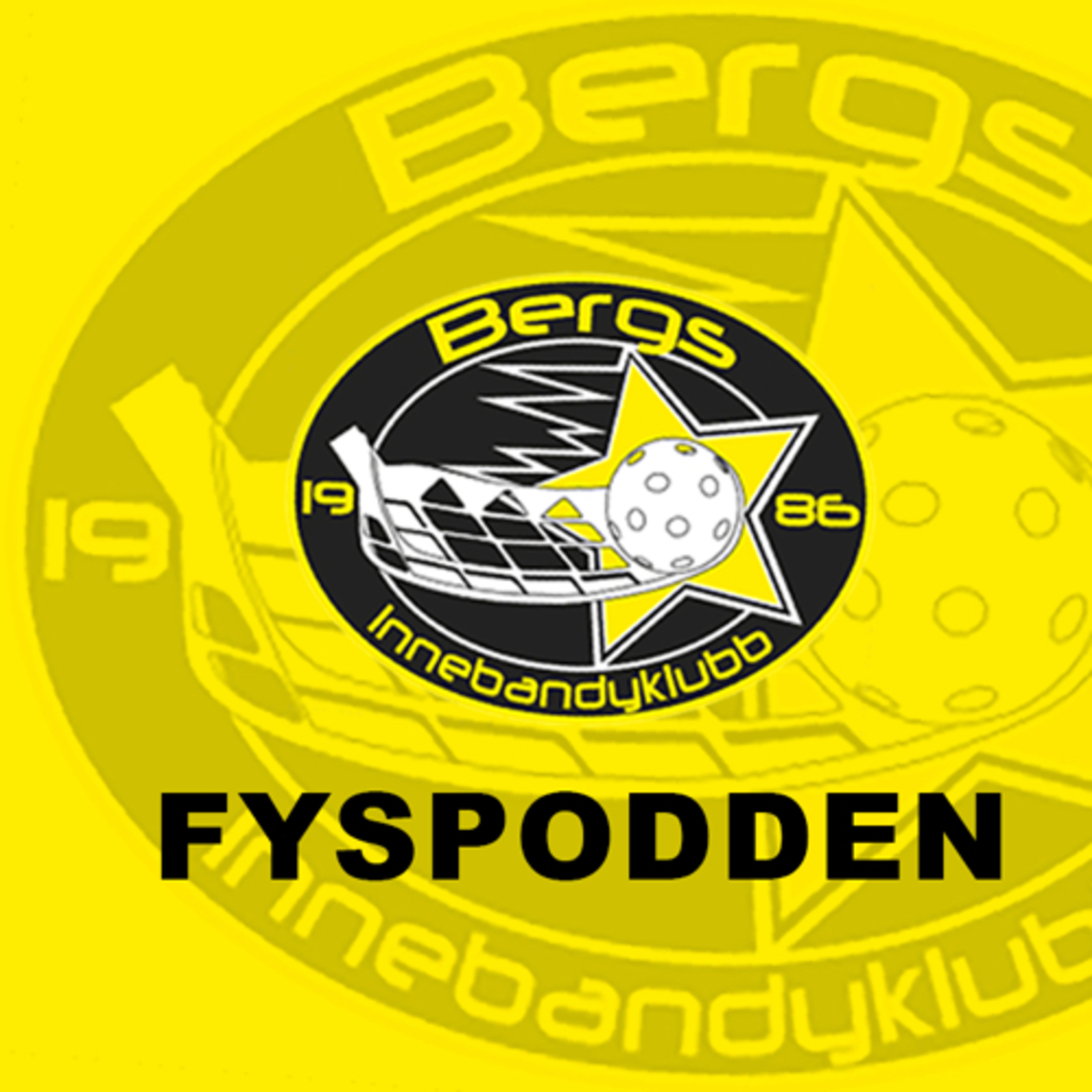Bergs IK:s Fyspodd - Intervallpass ”10-20-30” + skadeförebyggande 
