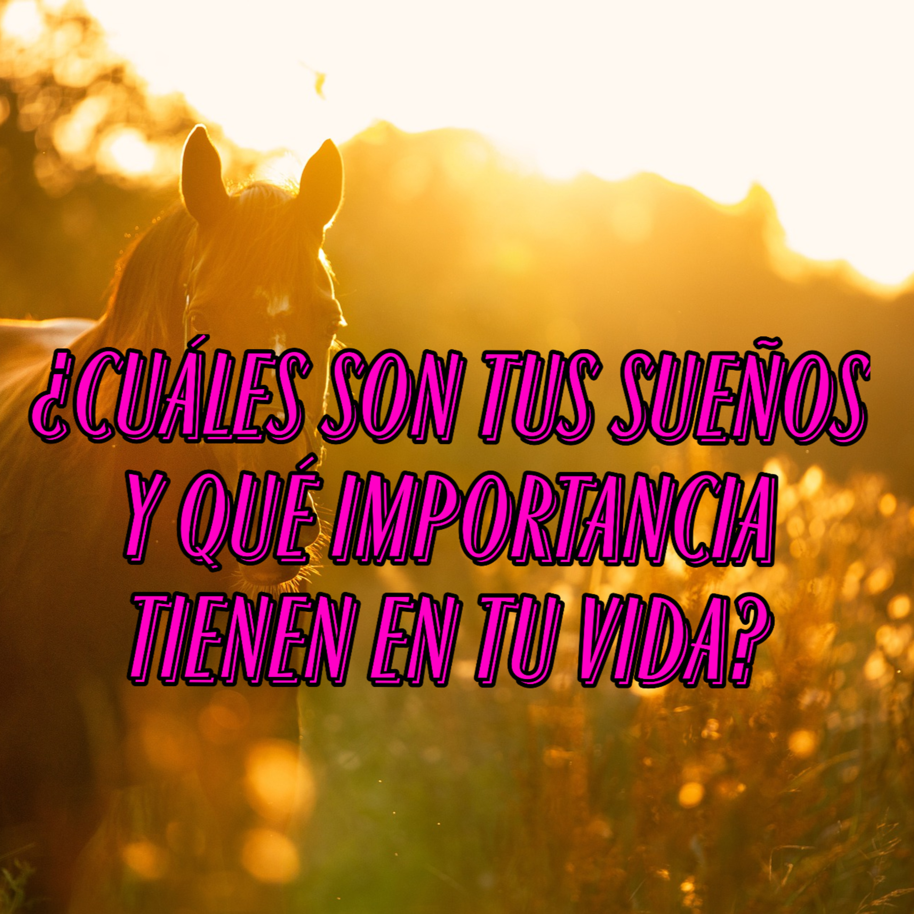 81 Crecimiento, sabiduría y motivación
