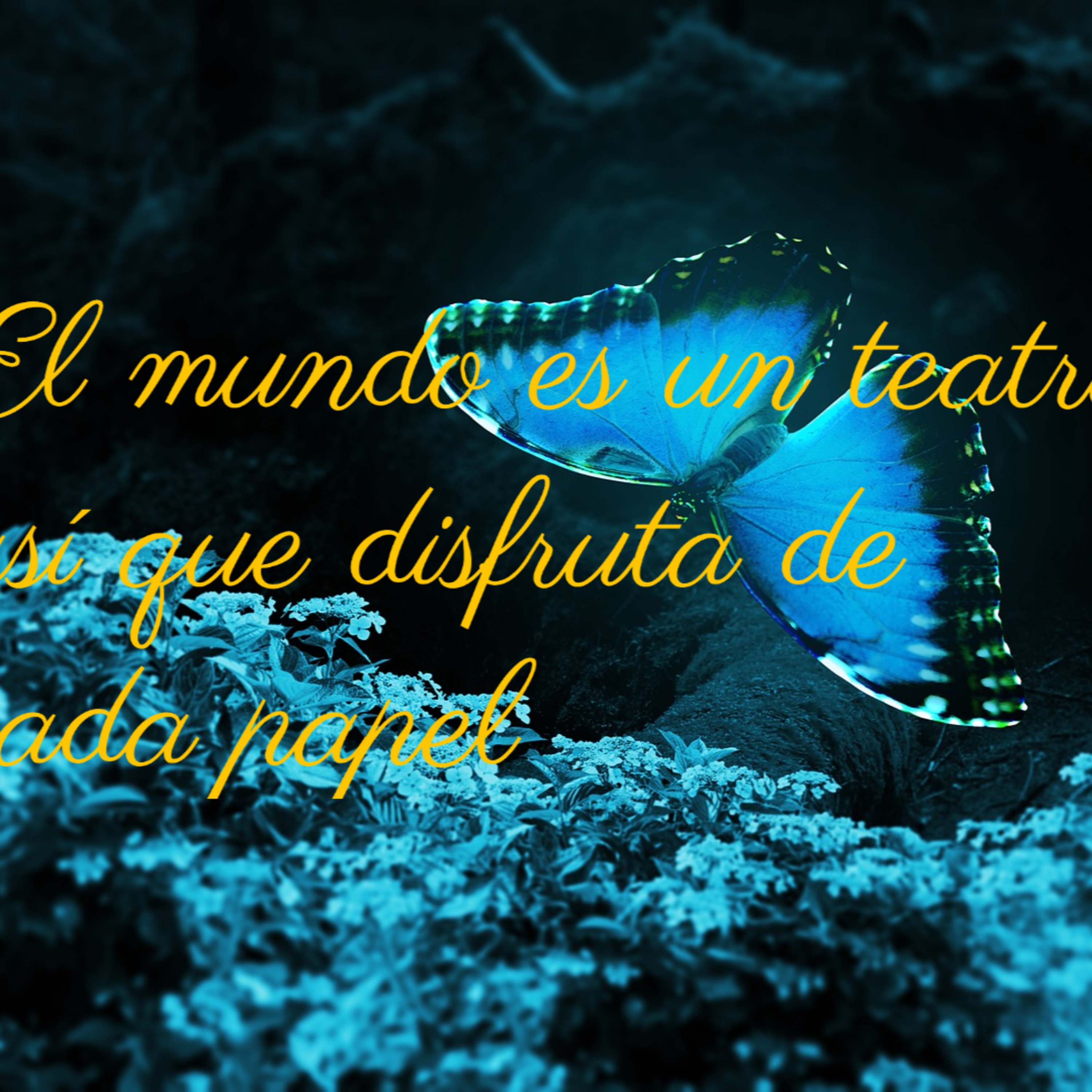 81 Crecimiento, sabiduría y motivación