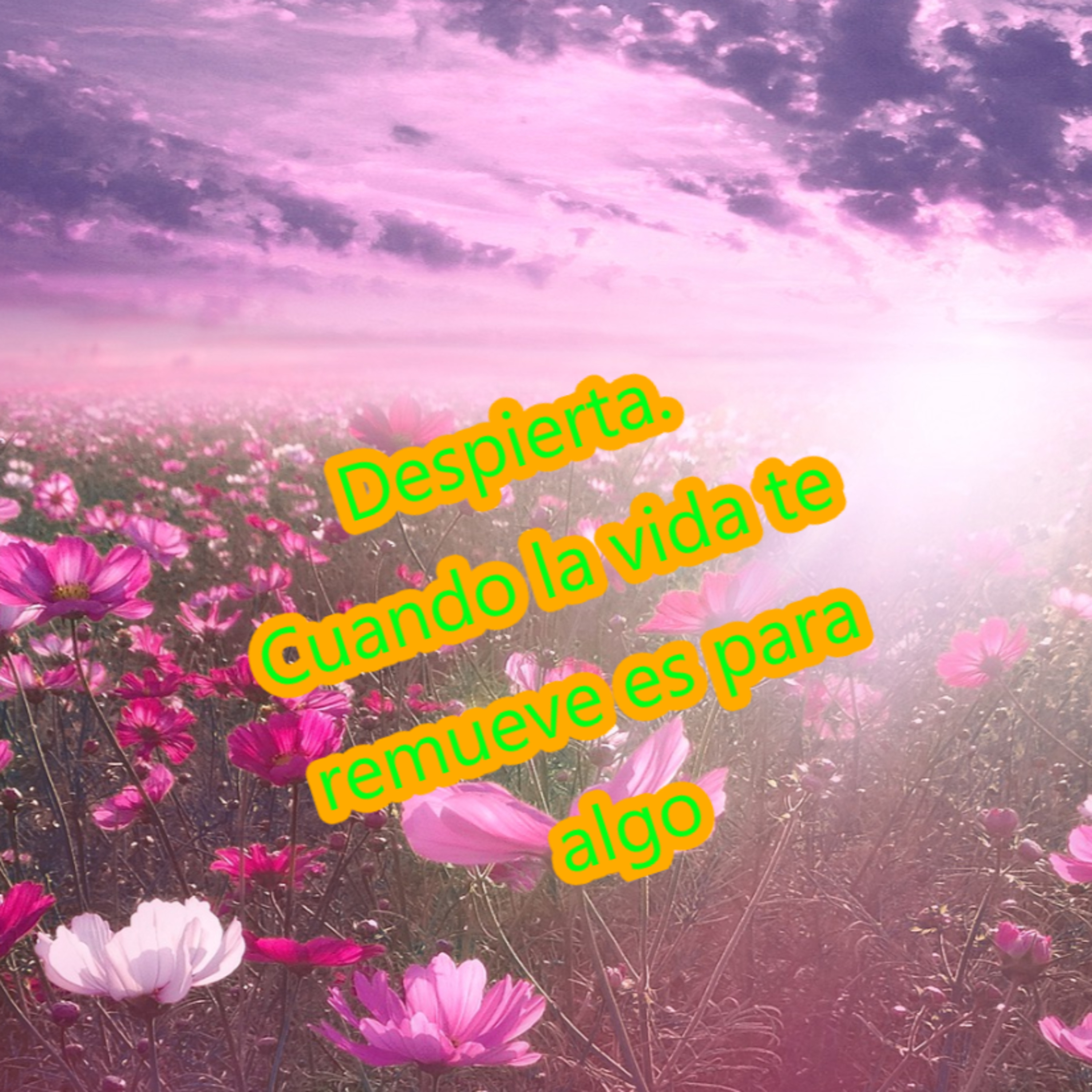 81 Crecimiento, sabiduría y motivación