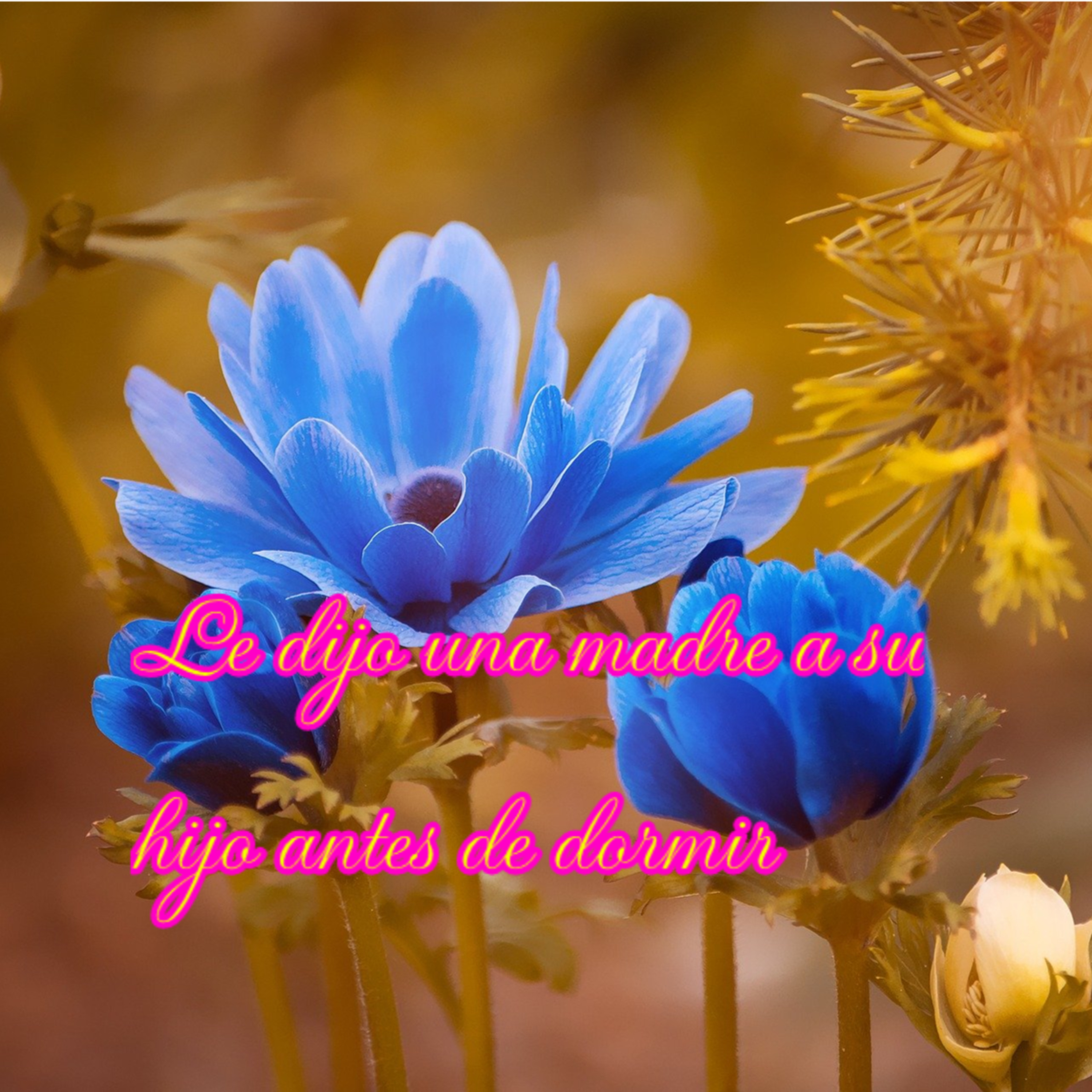 81 Crecimiento, sabiduría y motivación