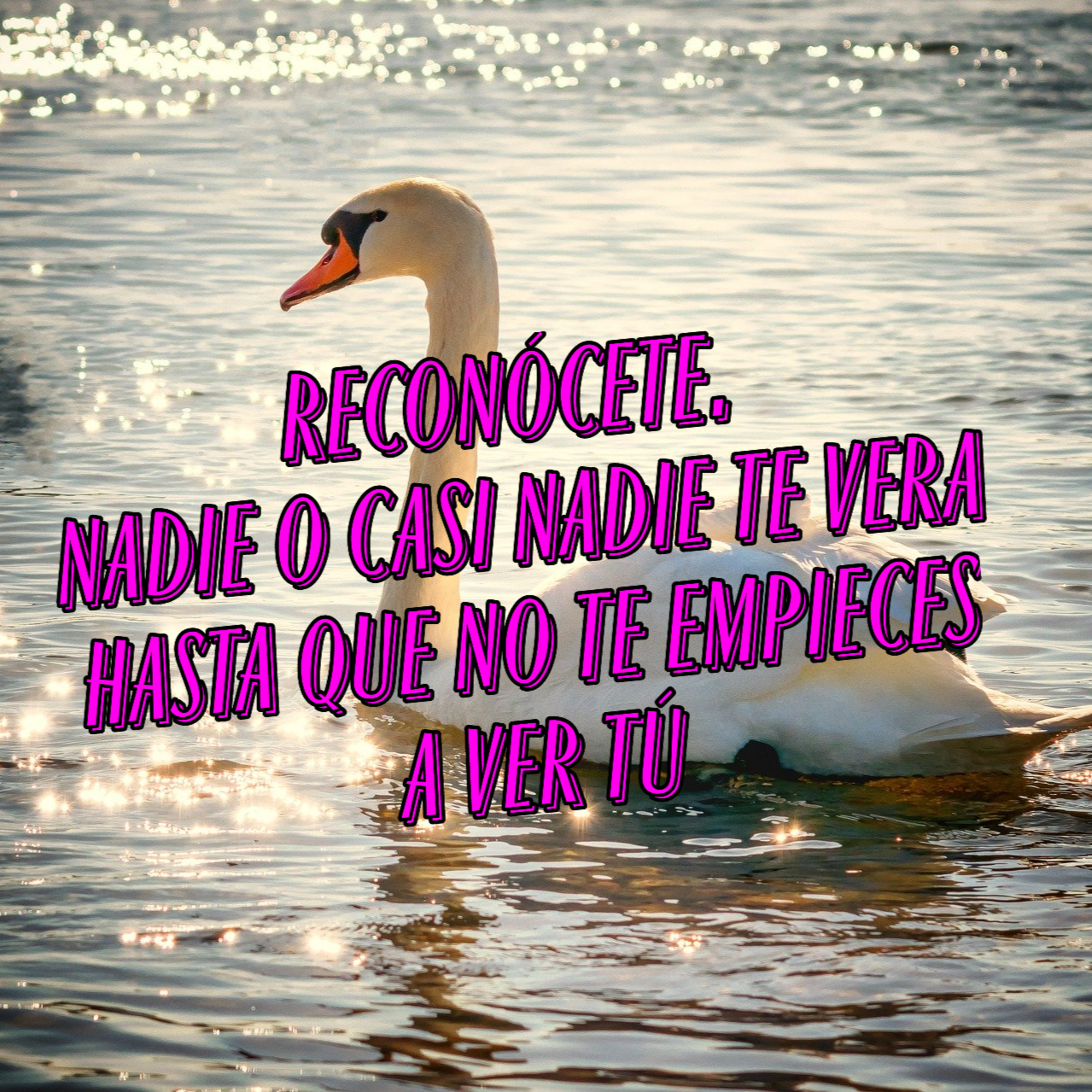 81 Crecimiento, sabiduría y motivación