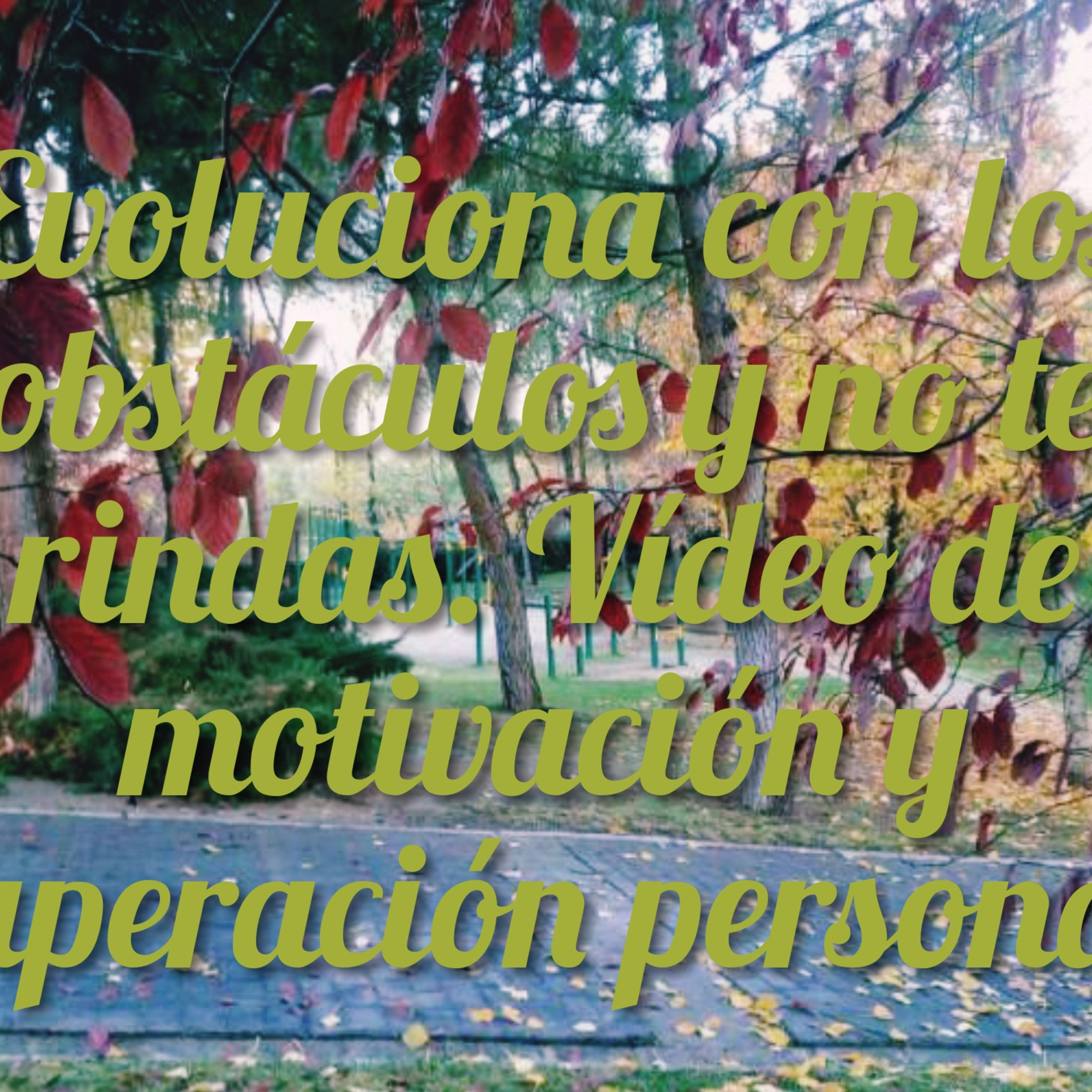 81 Crecimiento, sabiduría y motivación