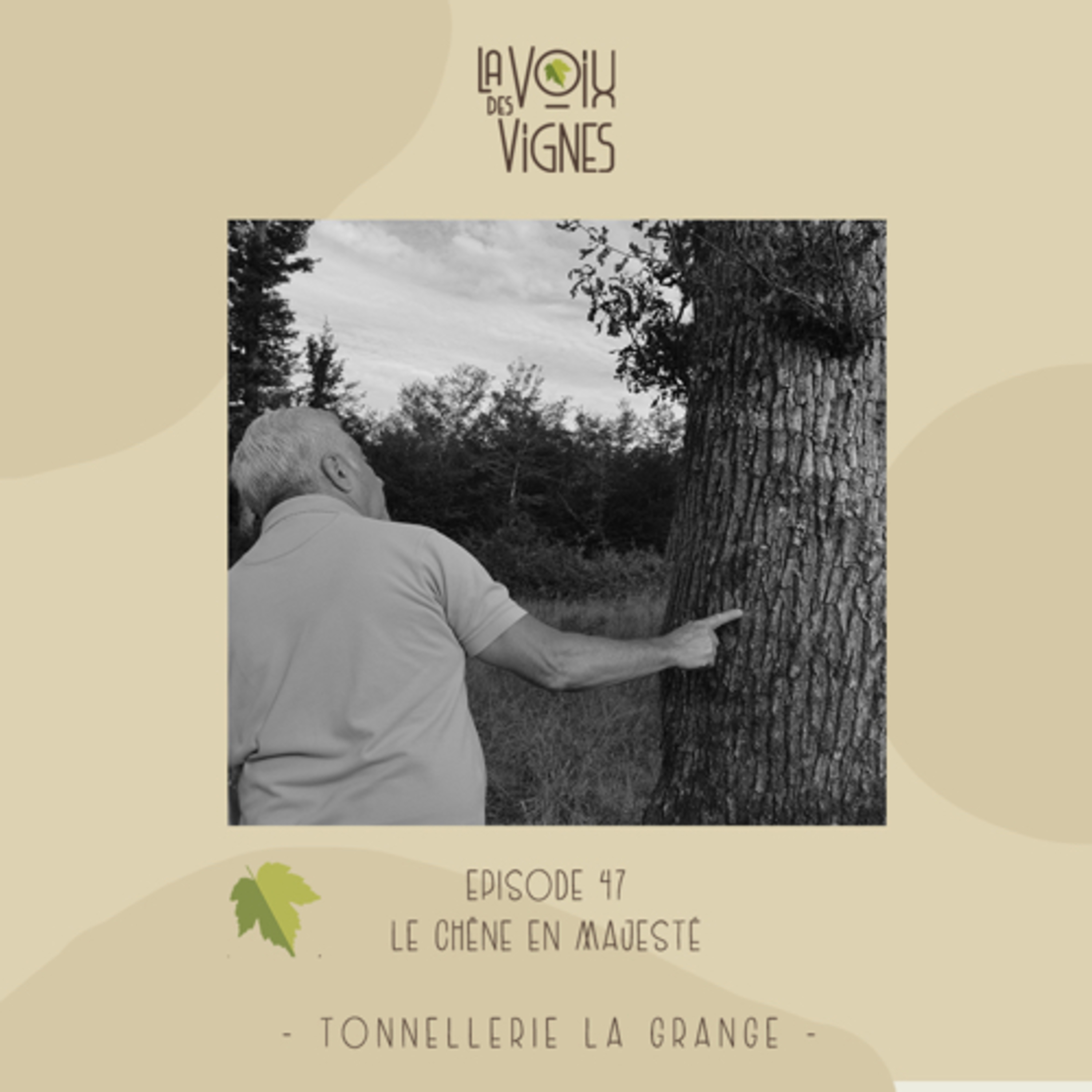 La Voix des Vignes