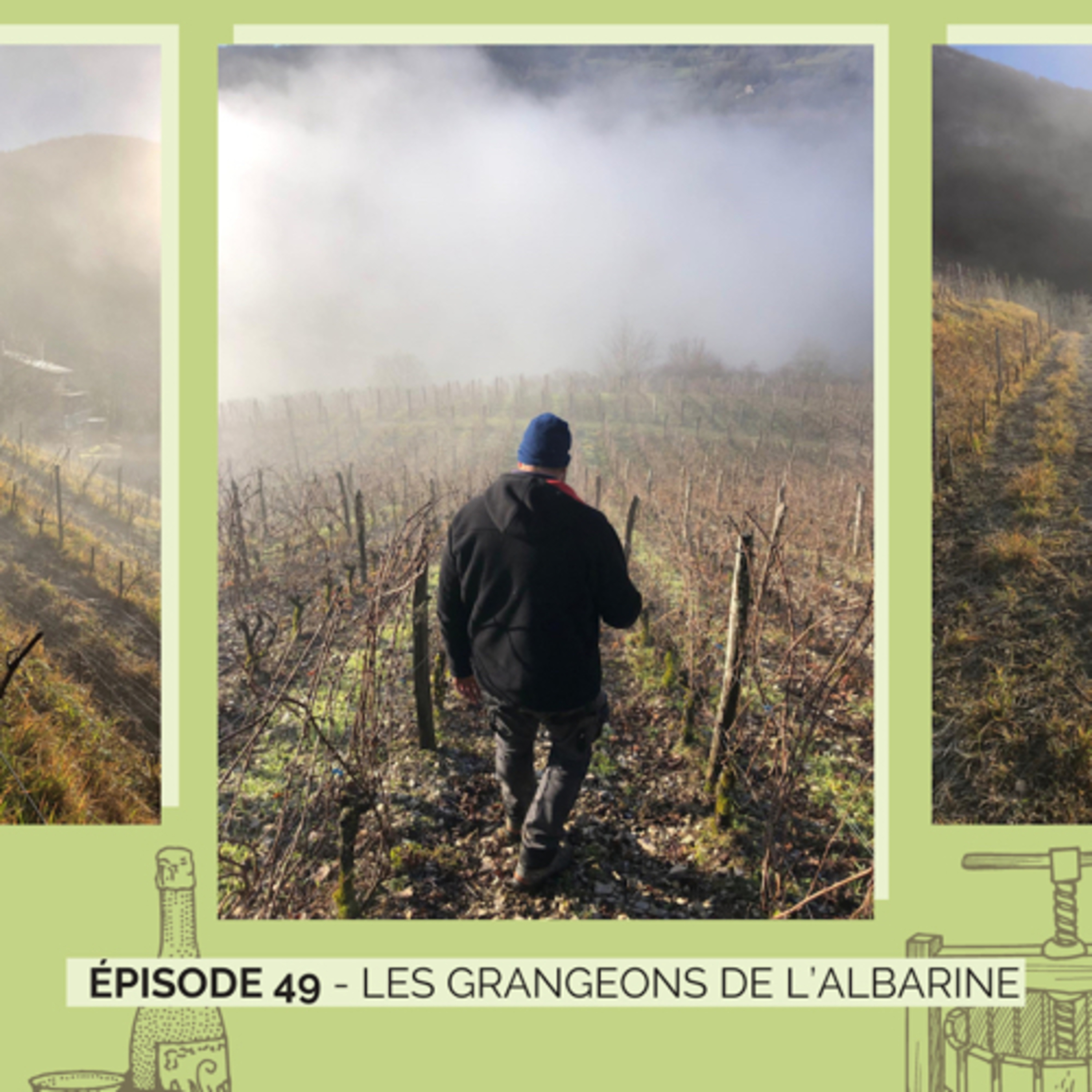 Les Grangeons de l'Albarine - Les cépages interspécifiques / hybrides