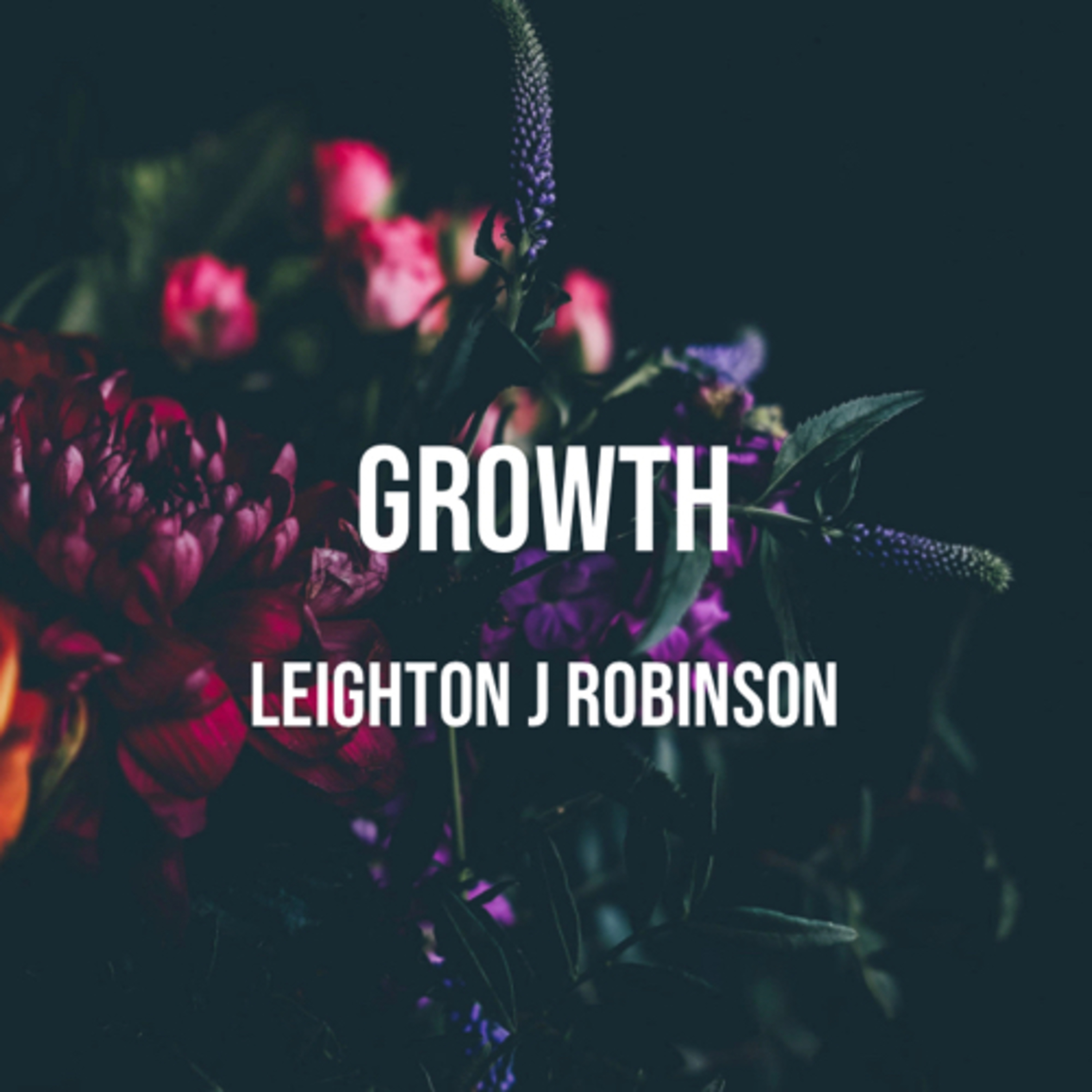 Divine Affirmation 365