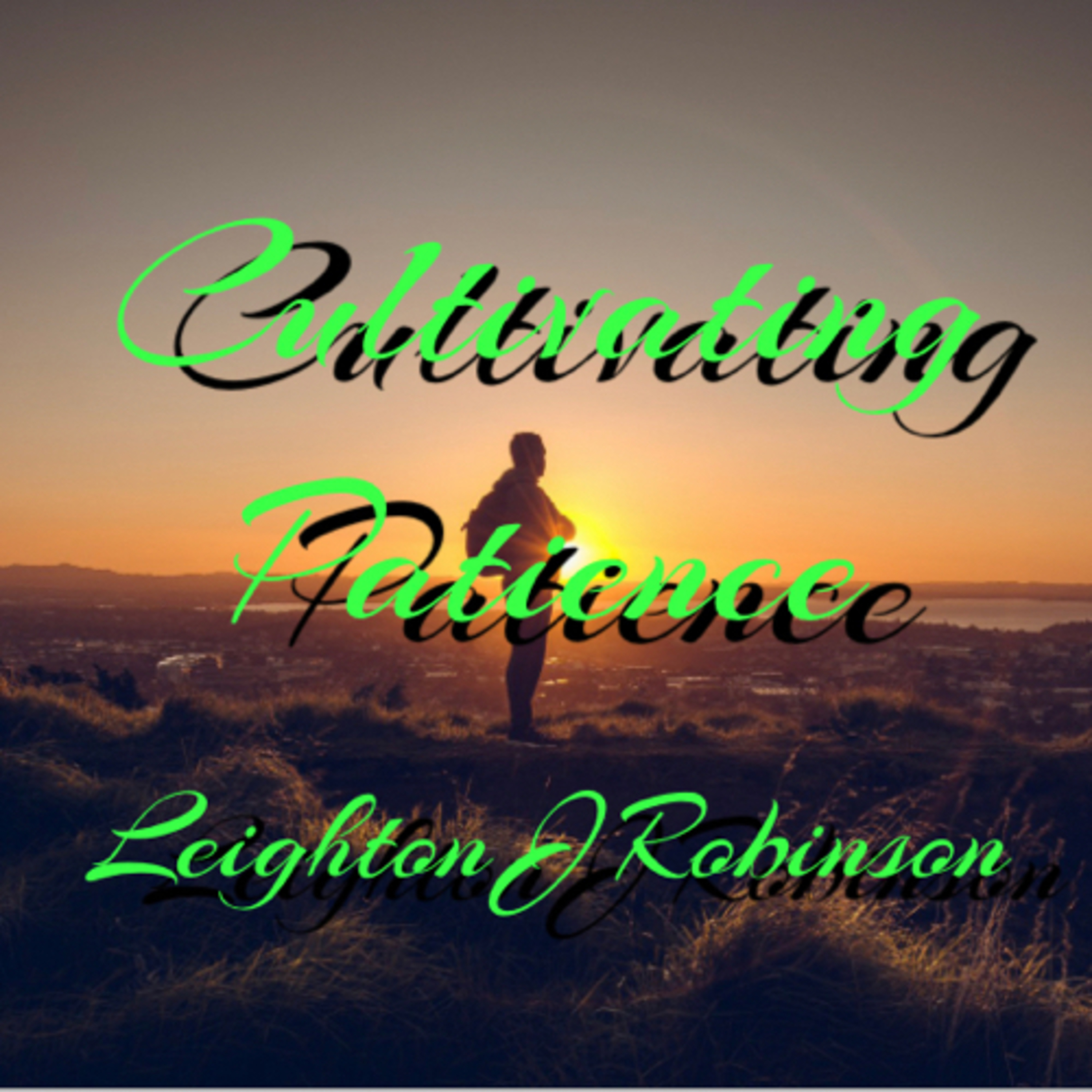 “Patience is not the ability to wait, but how you act while you’re waiting.” episode artwork