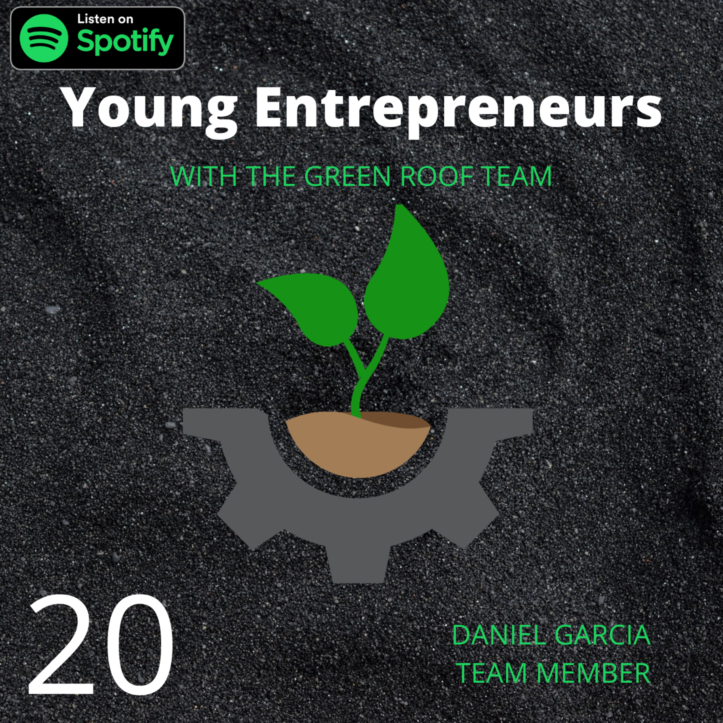 Young Entrepreneurs