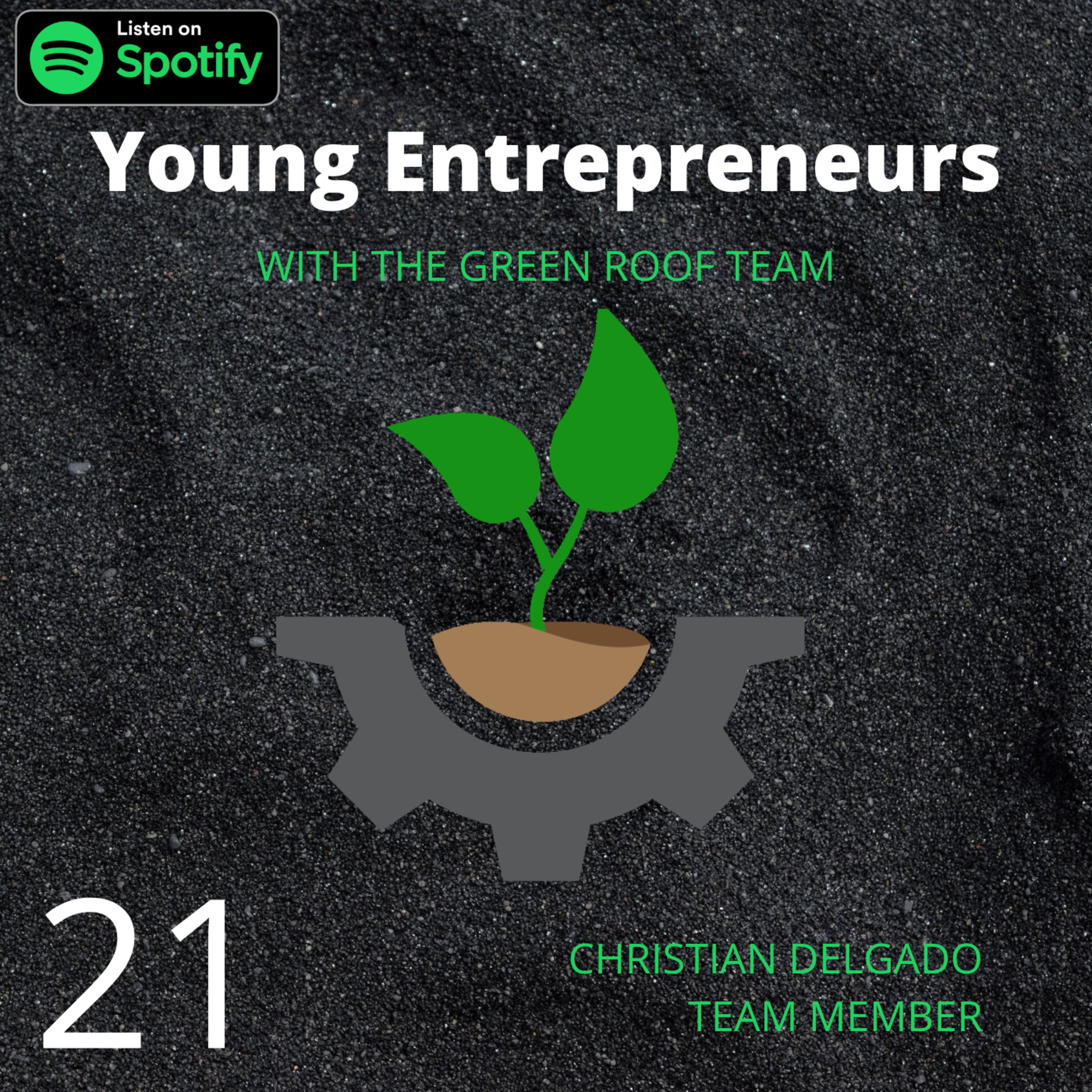 Young Entrepreneurs